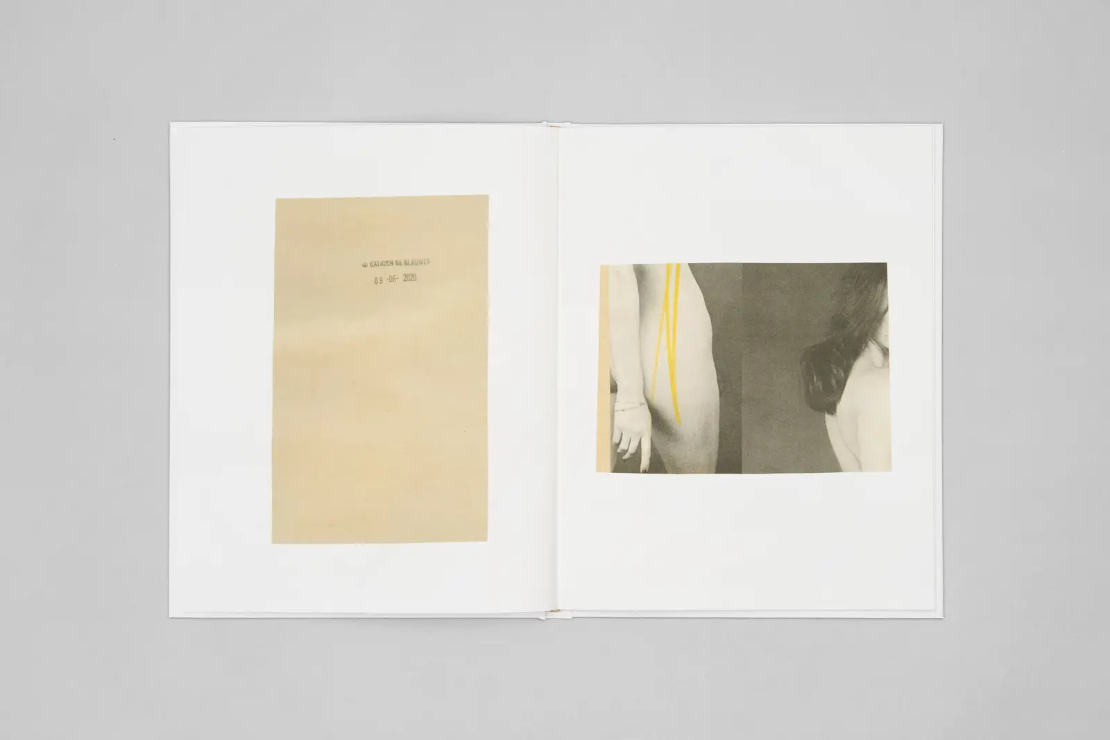 You Could at Least Pretend to Like Yellow image 5