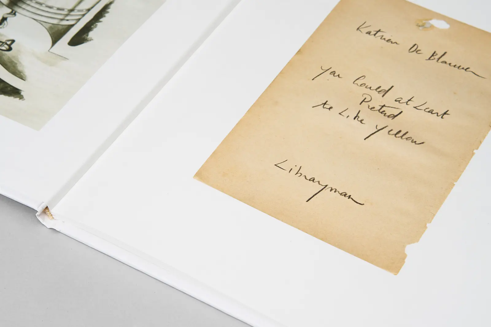 You Could at Least Pretend to Like Yellow image 7