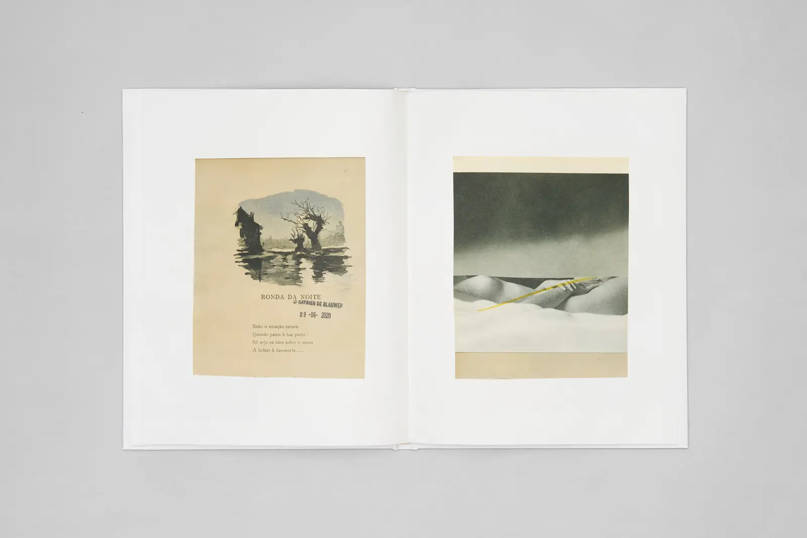 You Could at Least Pretend to Like Yellow image 8