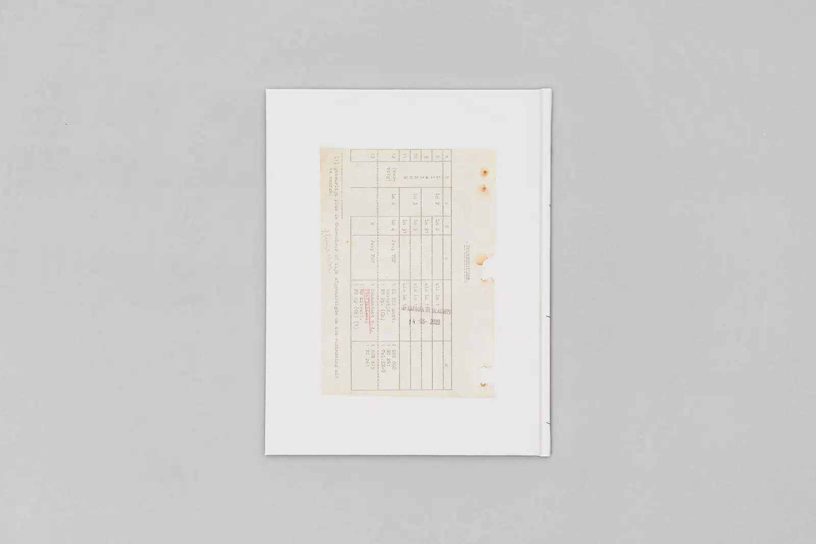 You Could at Least Pretend to Like Yellow image 9