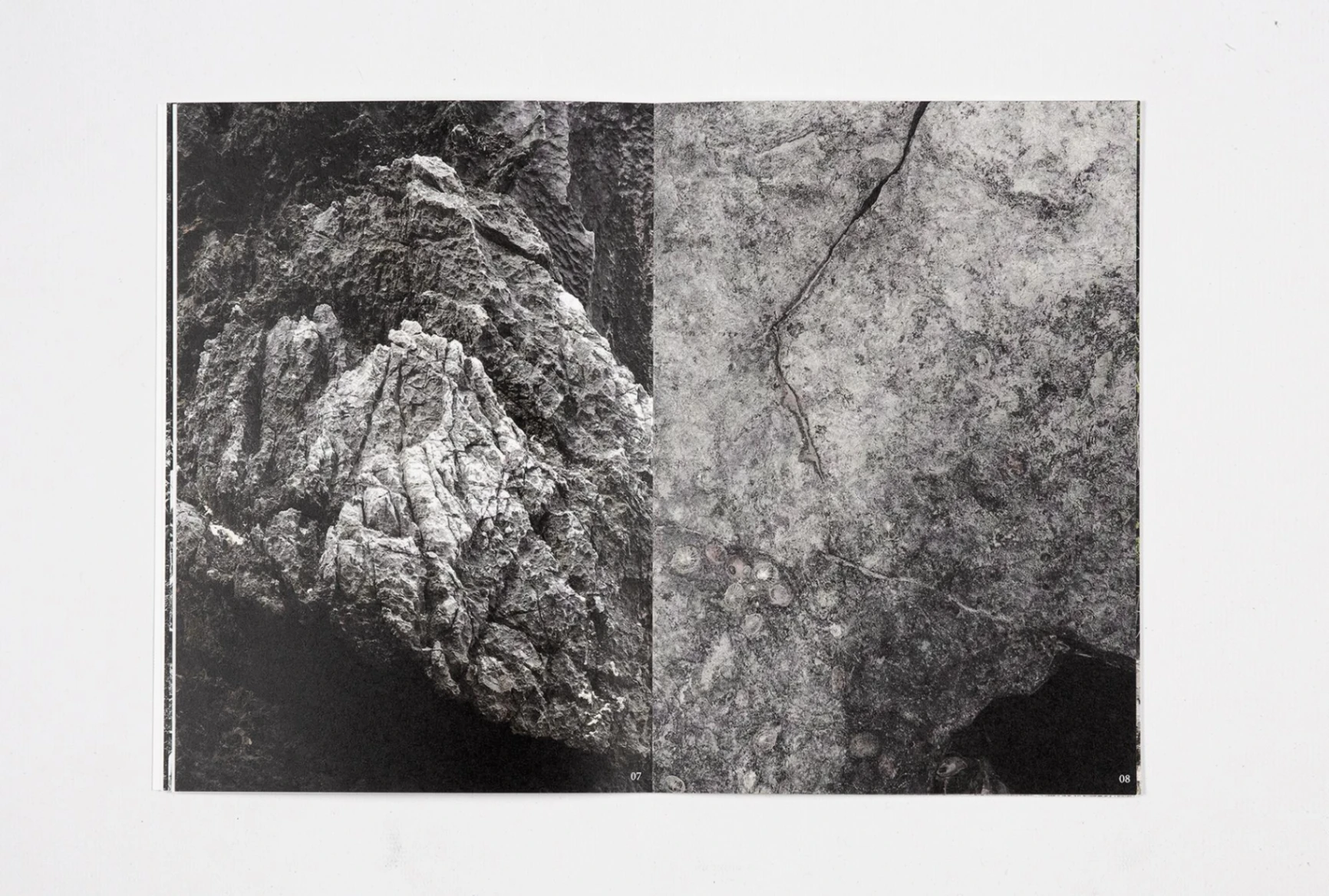 Architecture for the Animals image 4