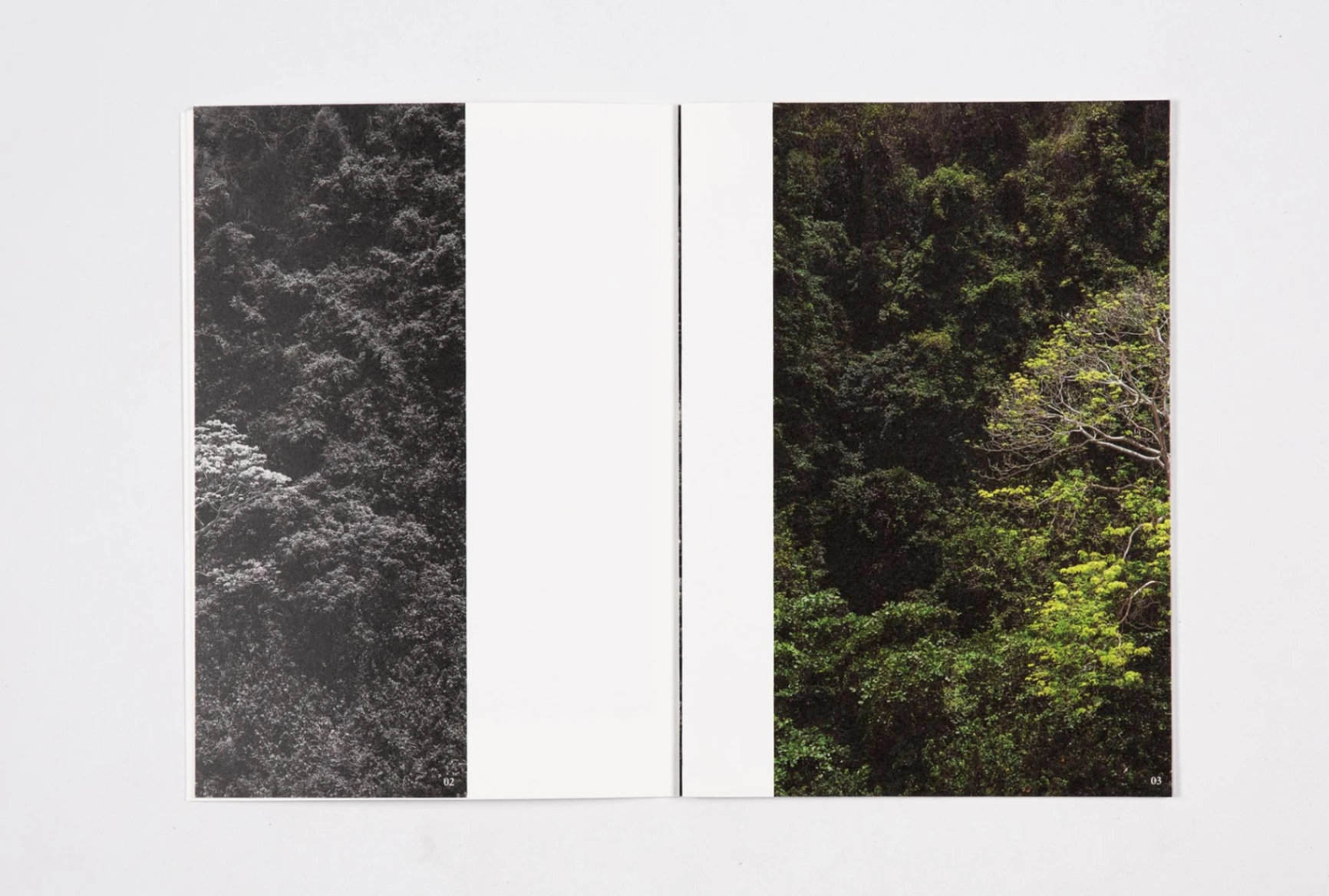 Architecture for the Animals image 6