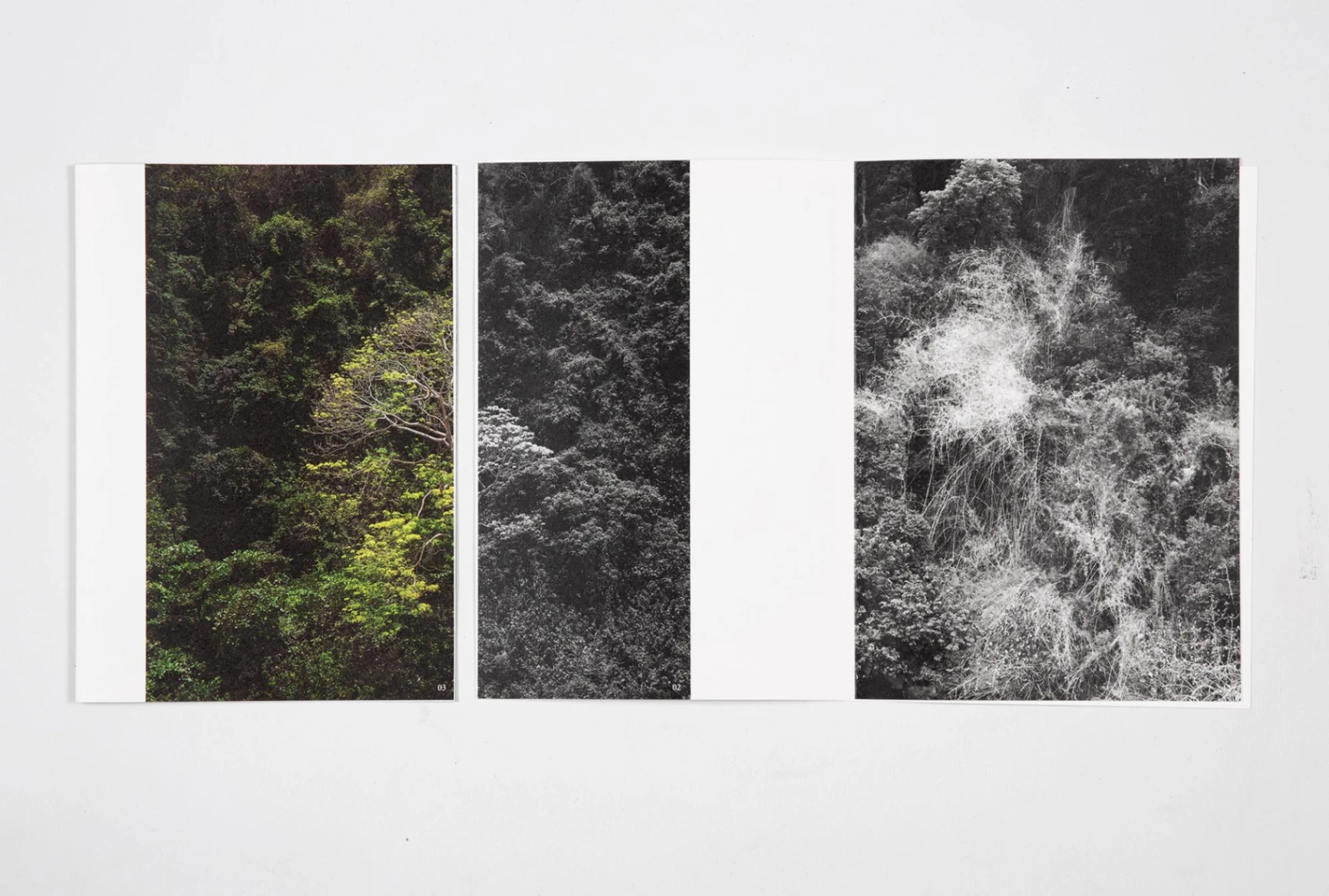 Architecture for the Animals image 5