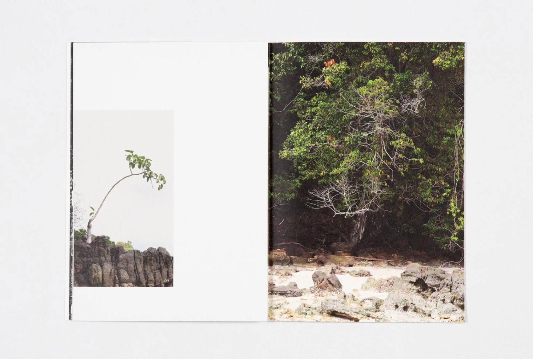 Architecture for the Animals image 3