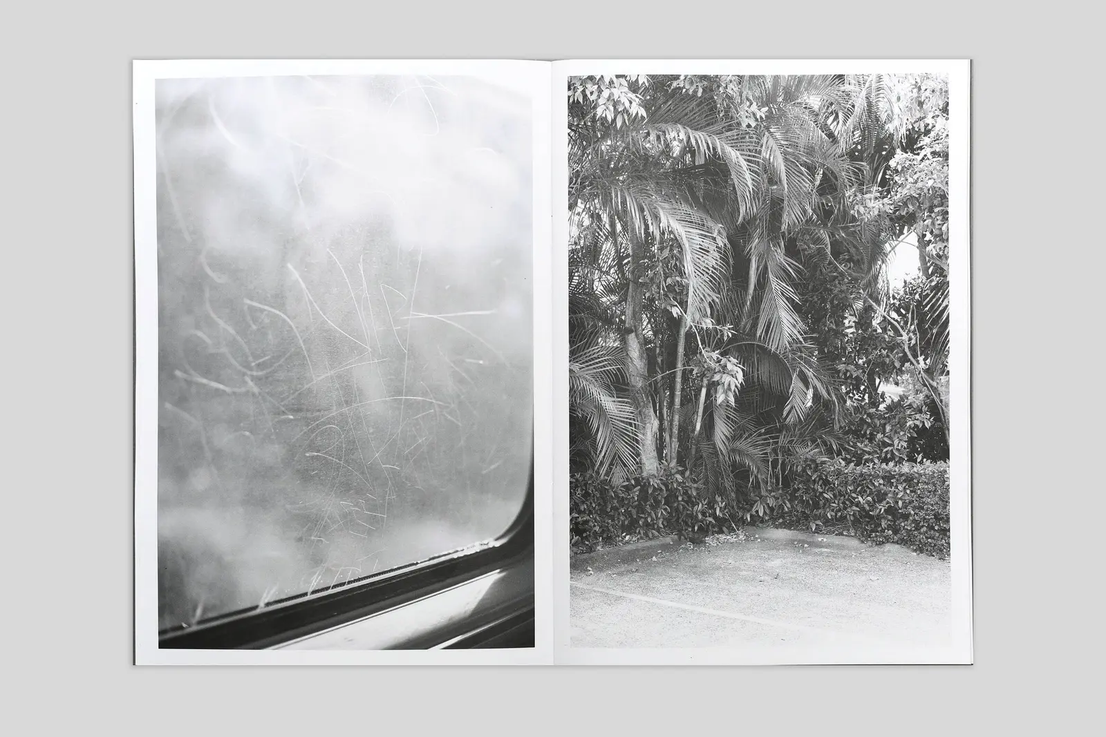 Under all of this there are rivers and swamps image 3