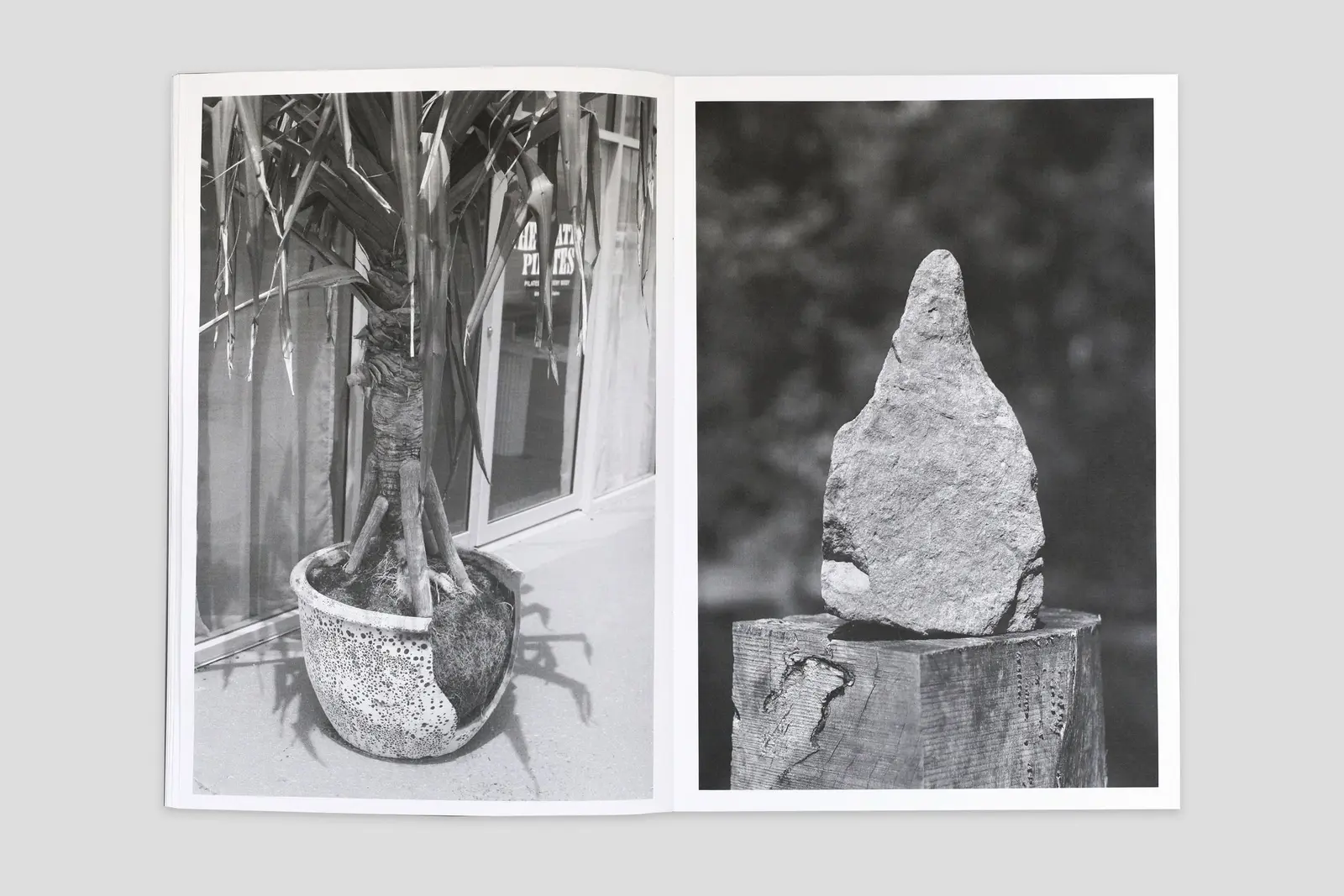 Under all of this there are rivers and swamps image 7