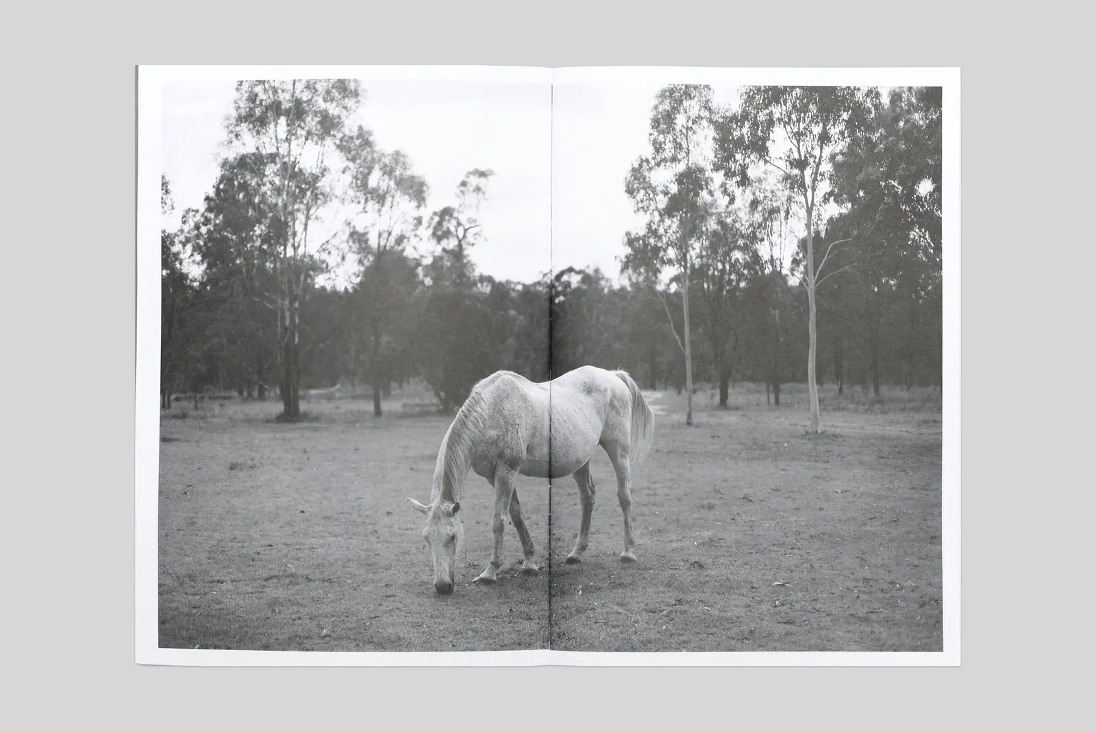 Under all of this there are rivers and swamps image 8