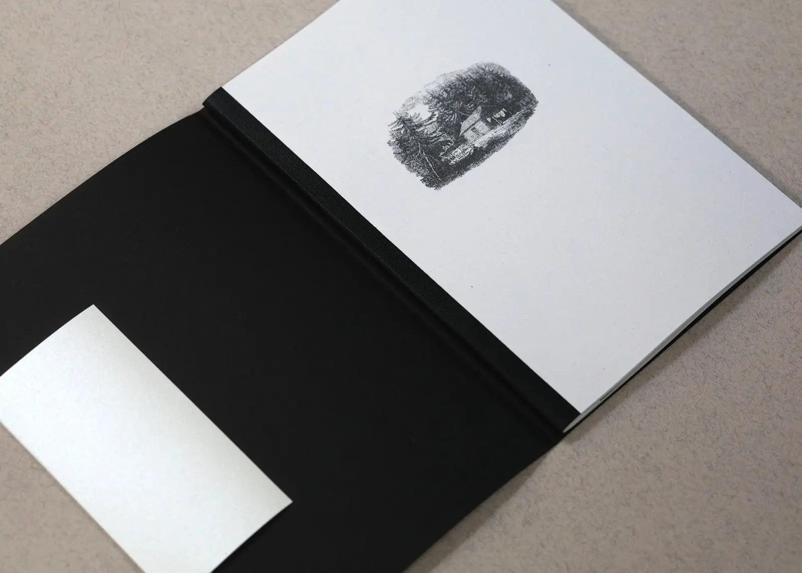 The Place at the End of the Rapids image 2