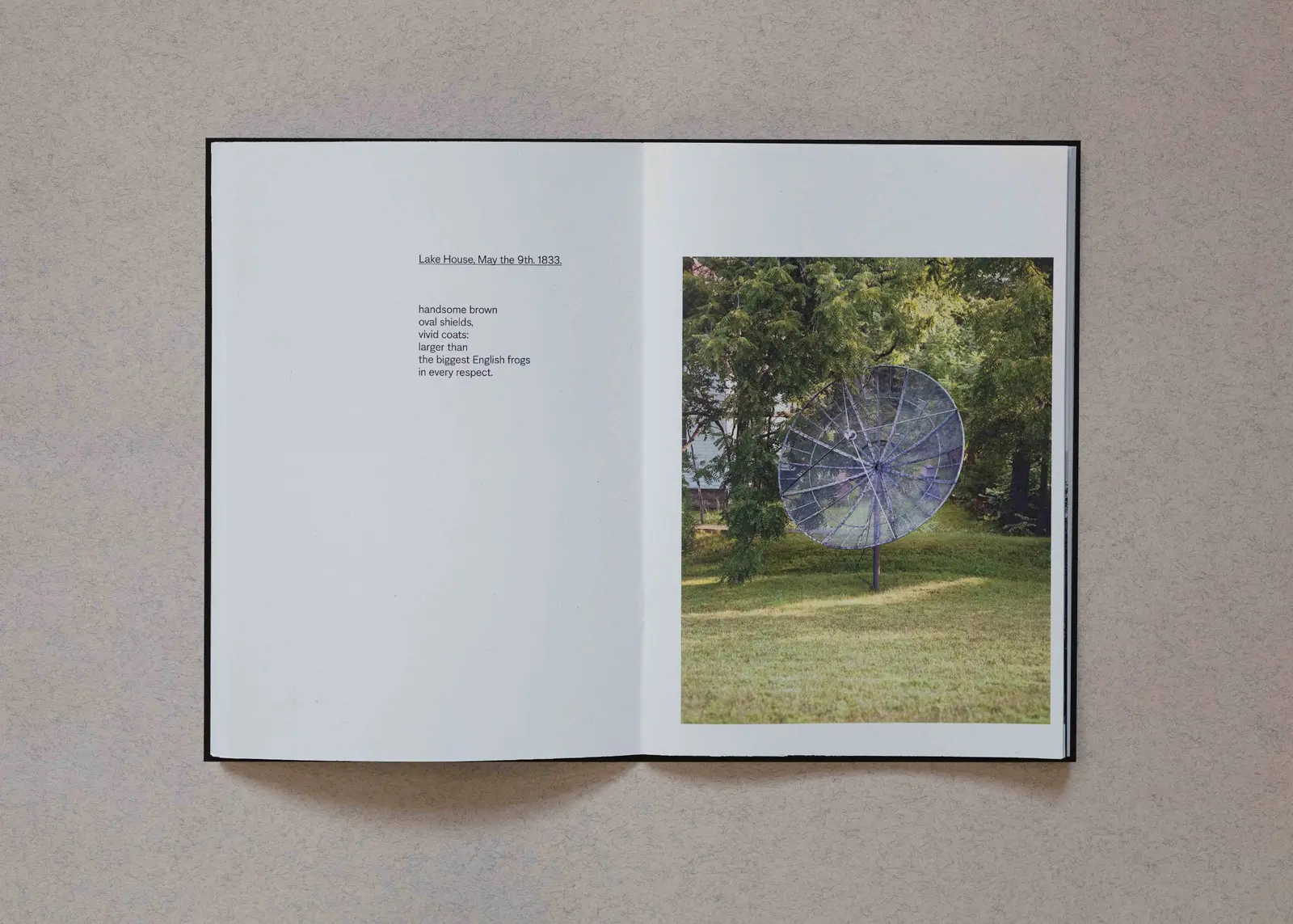 The Place at the End of the Rapids image 9