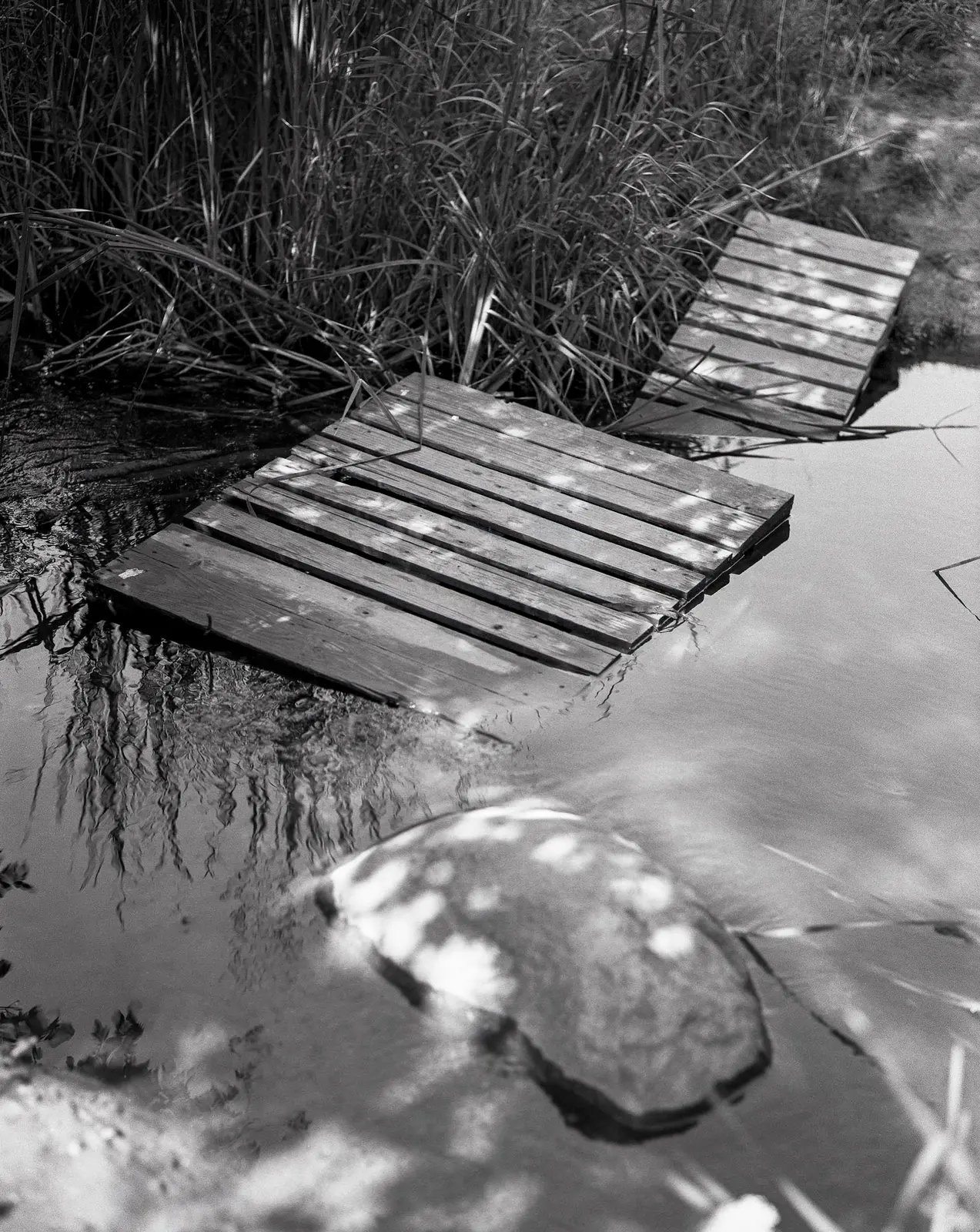 The Place at the End of the Rapids image 10