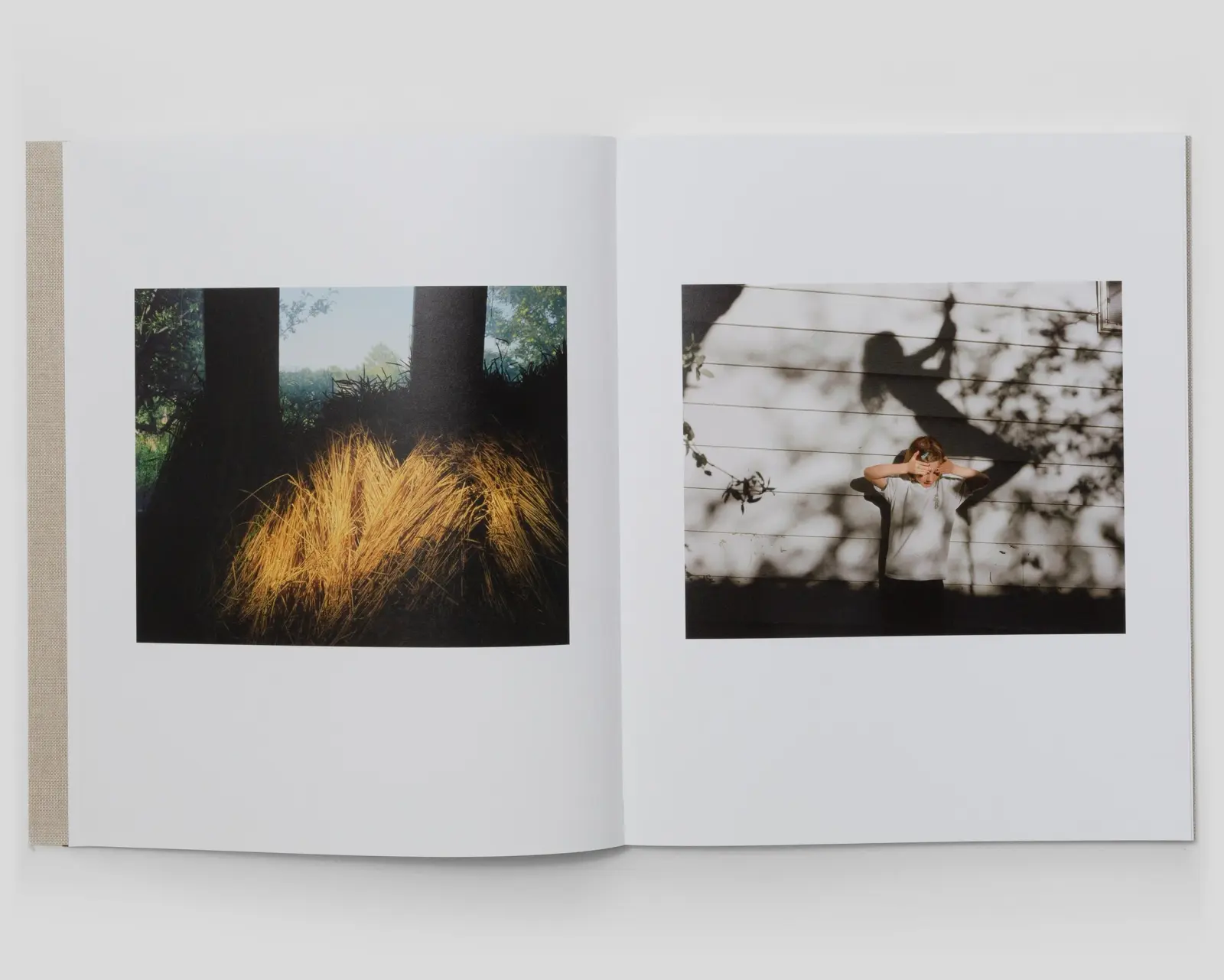 The North Fork image 3