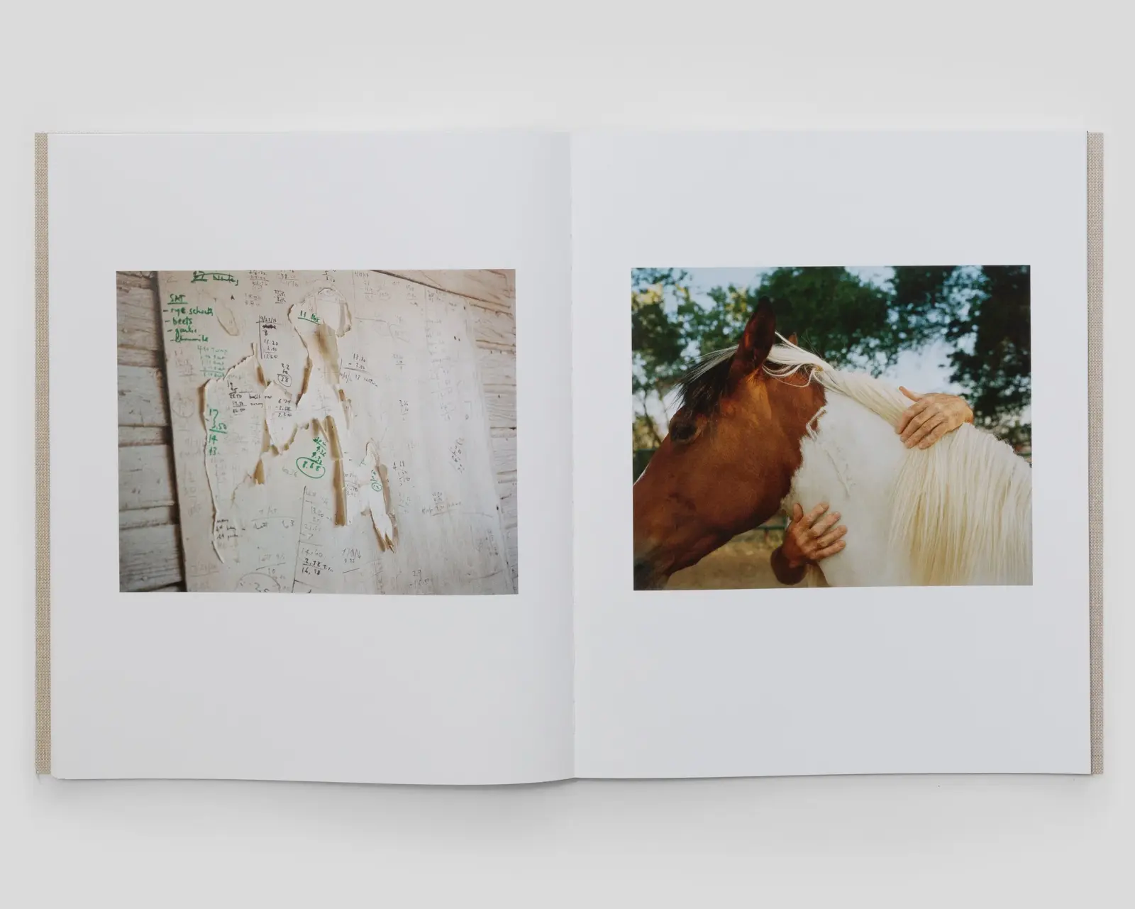 The North Fork image 6