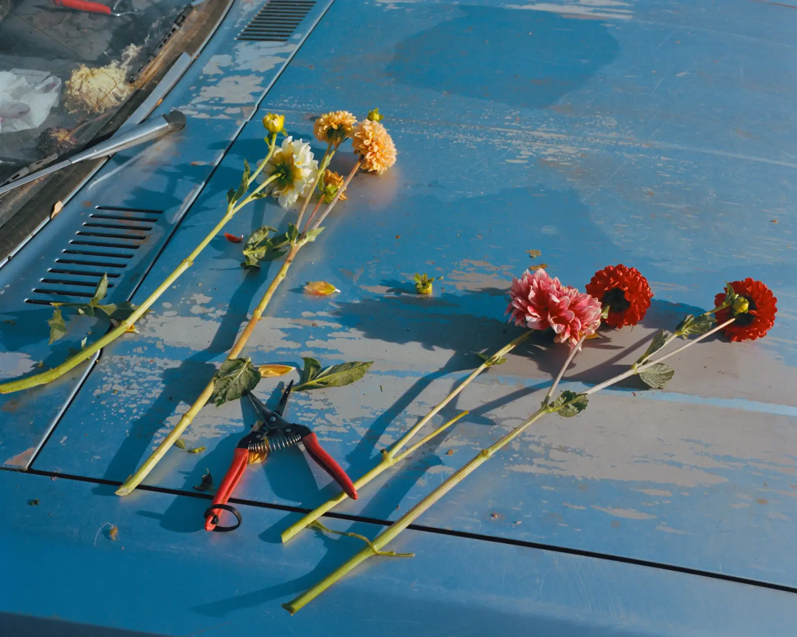 The North Fork image 7