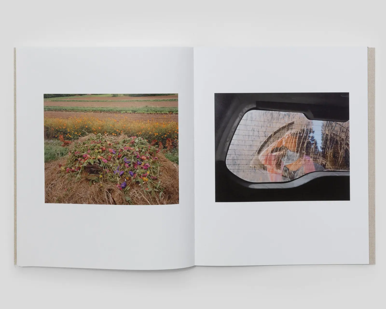 The North Fork image 9