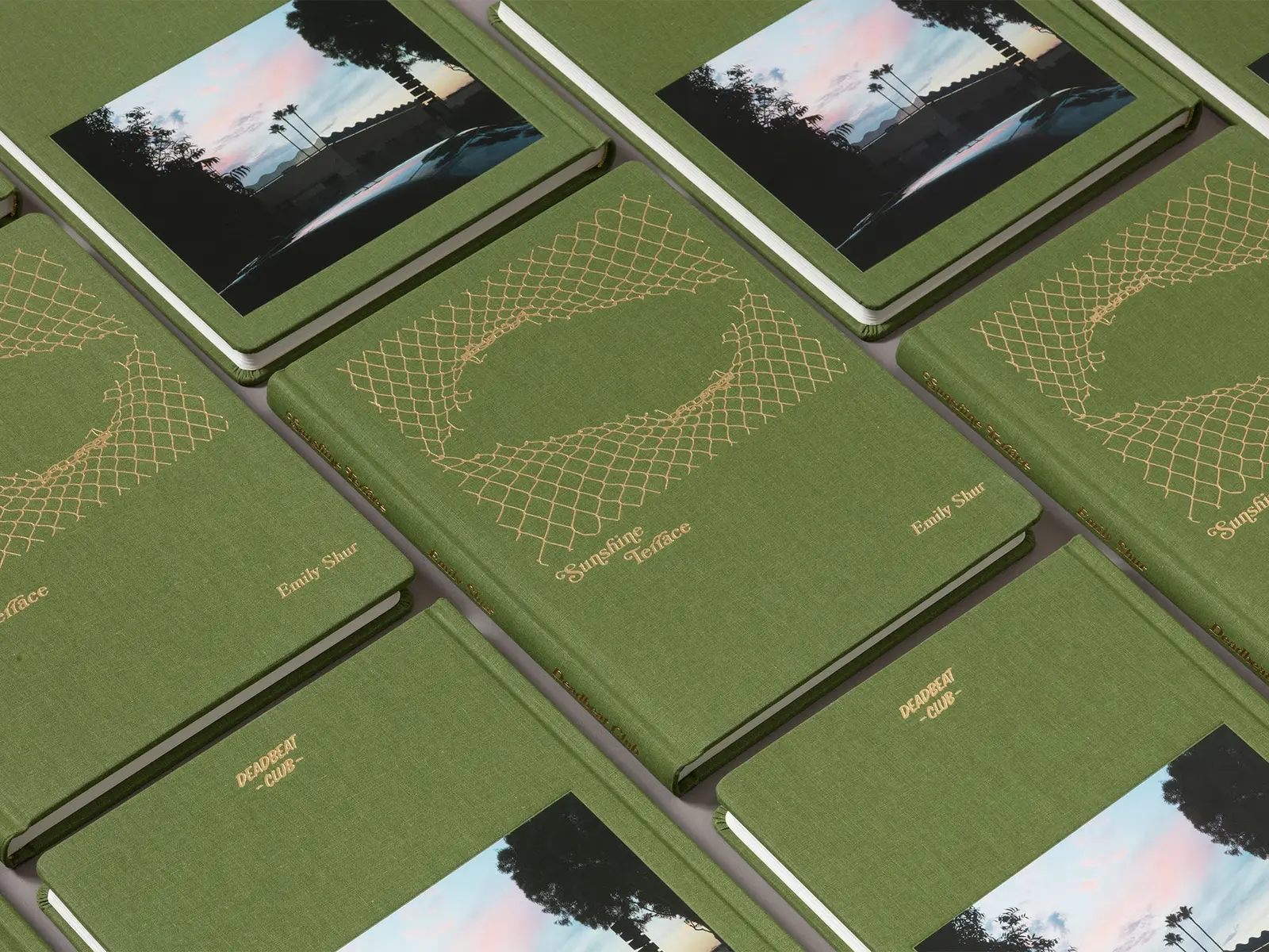 Sunshine Terrace image 2