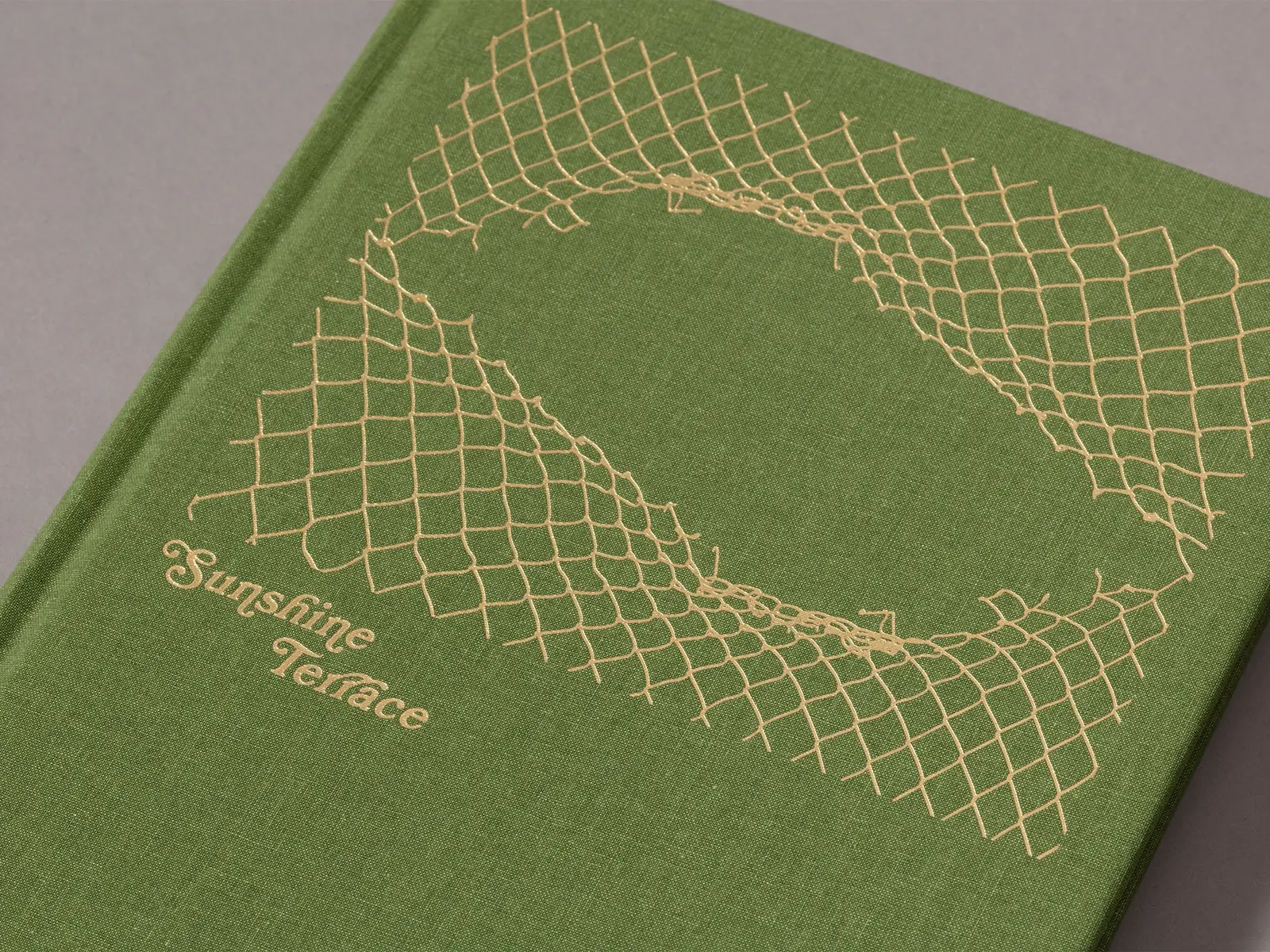 Sunshine Terrace image 5