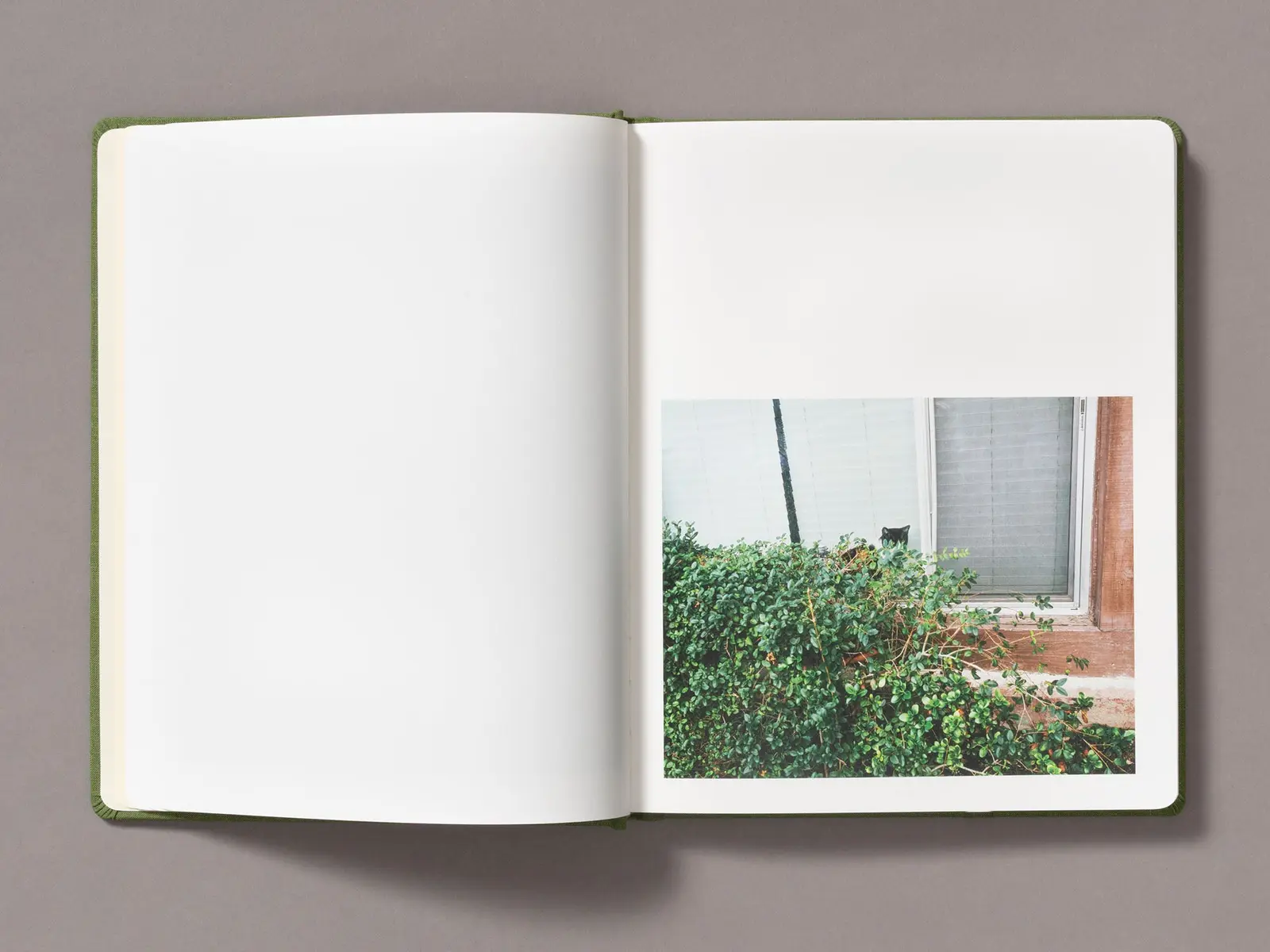 Sunshine Terrace image 6