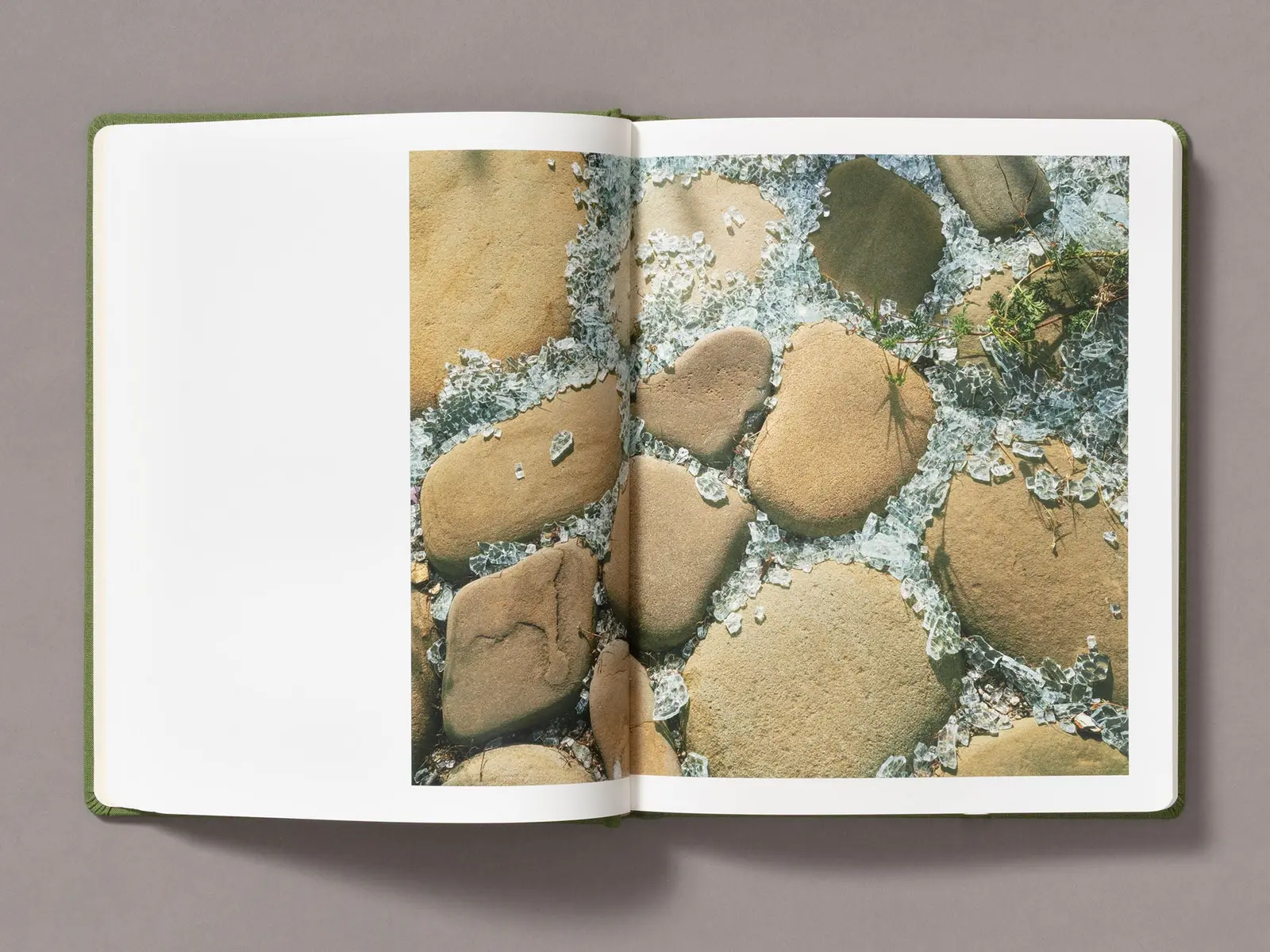 Sunshine Terrace image 7