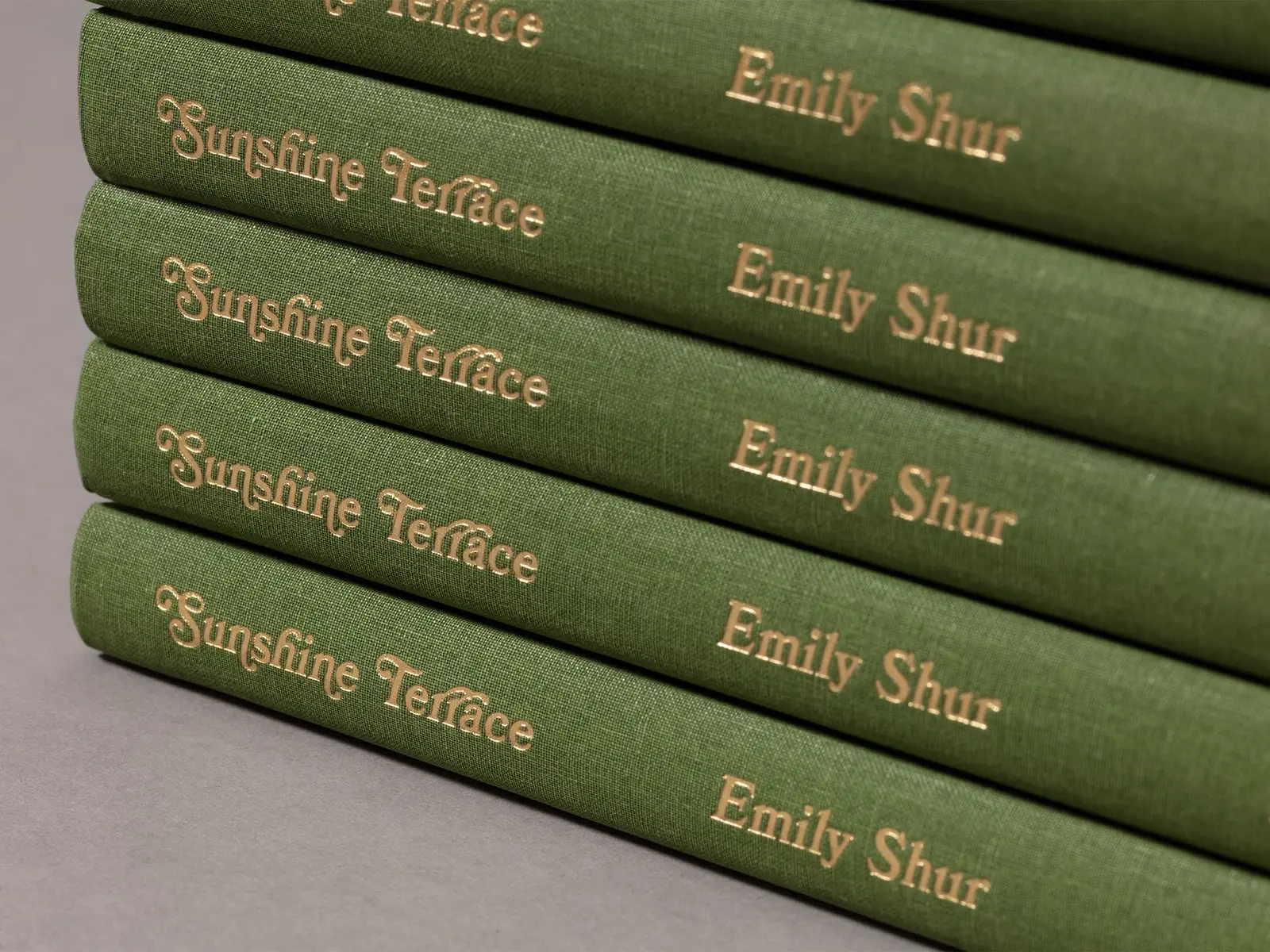 Sunshine Terrace image 8