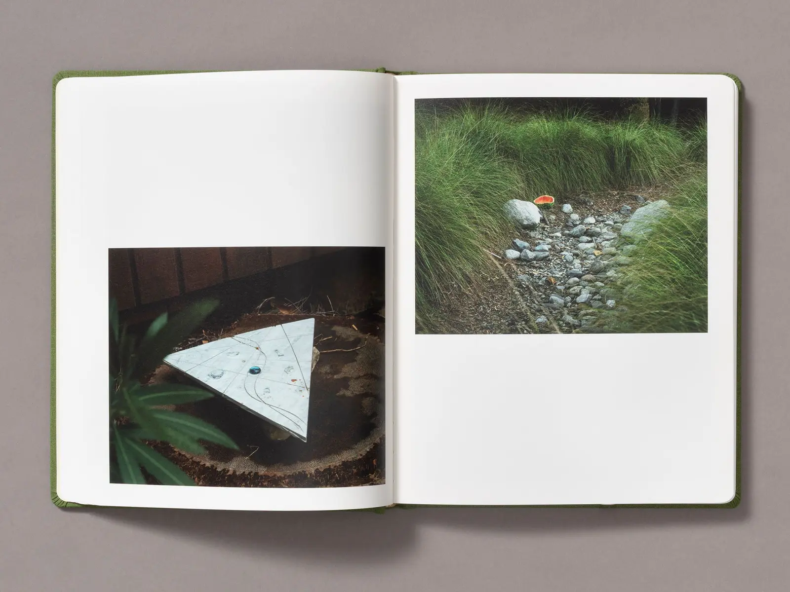 Sunshine Terrace image 10