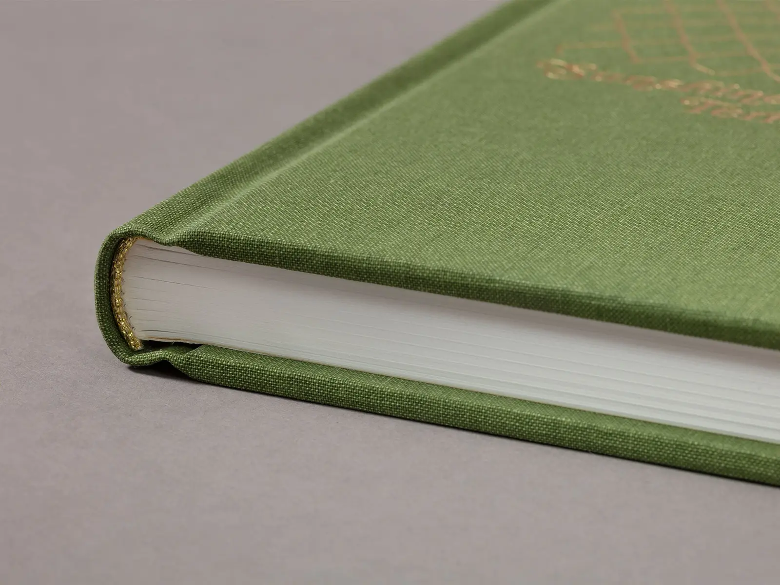 Sunshine Terrace image 11