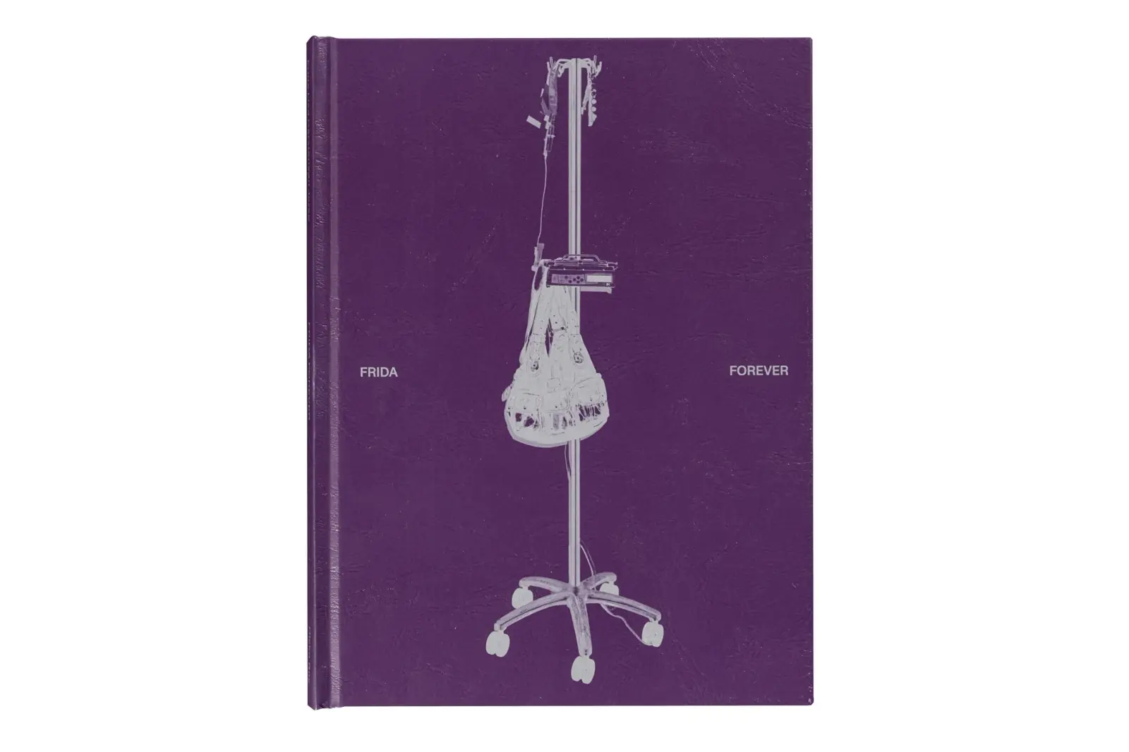Frida Forever image 2