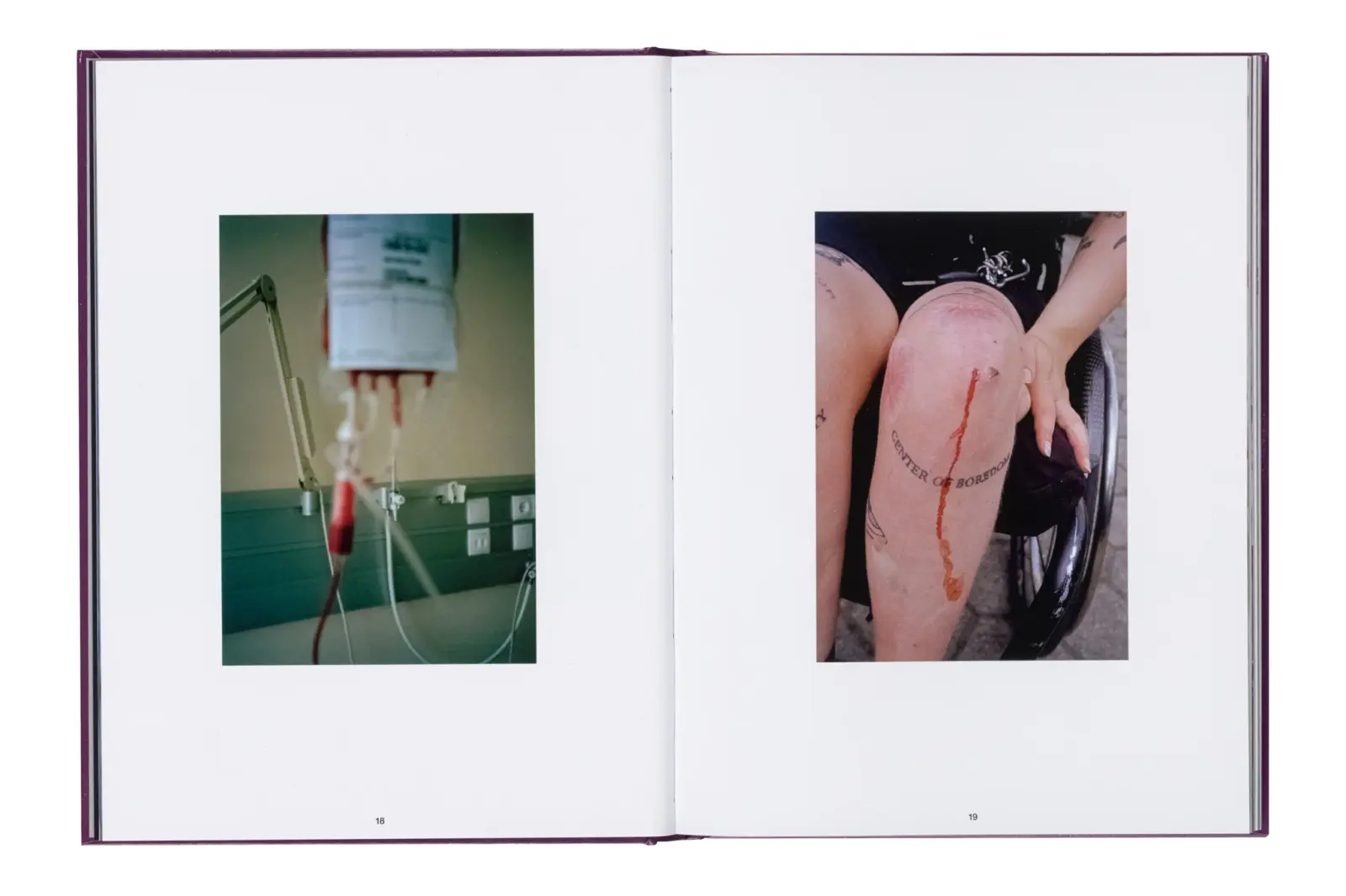 Frida Forever image 5