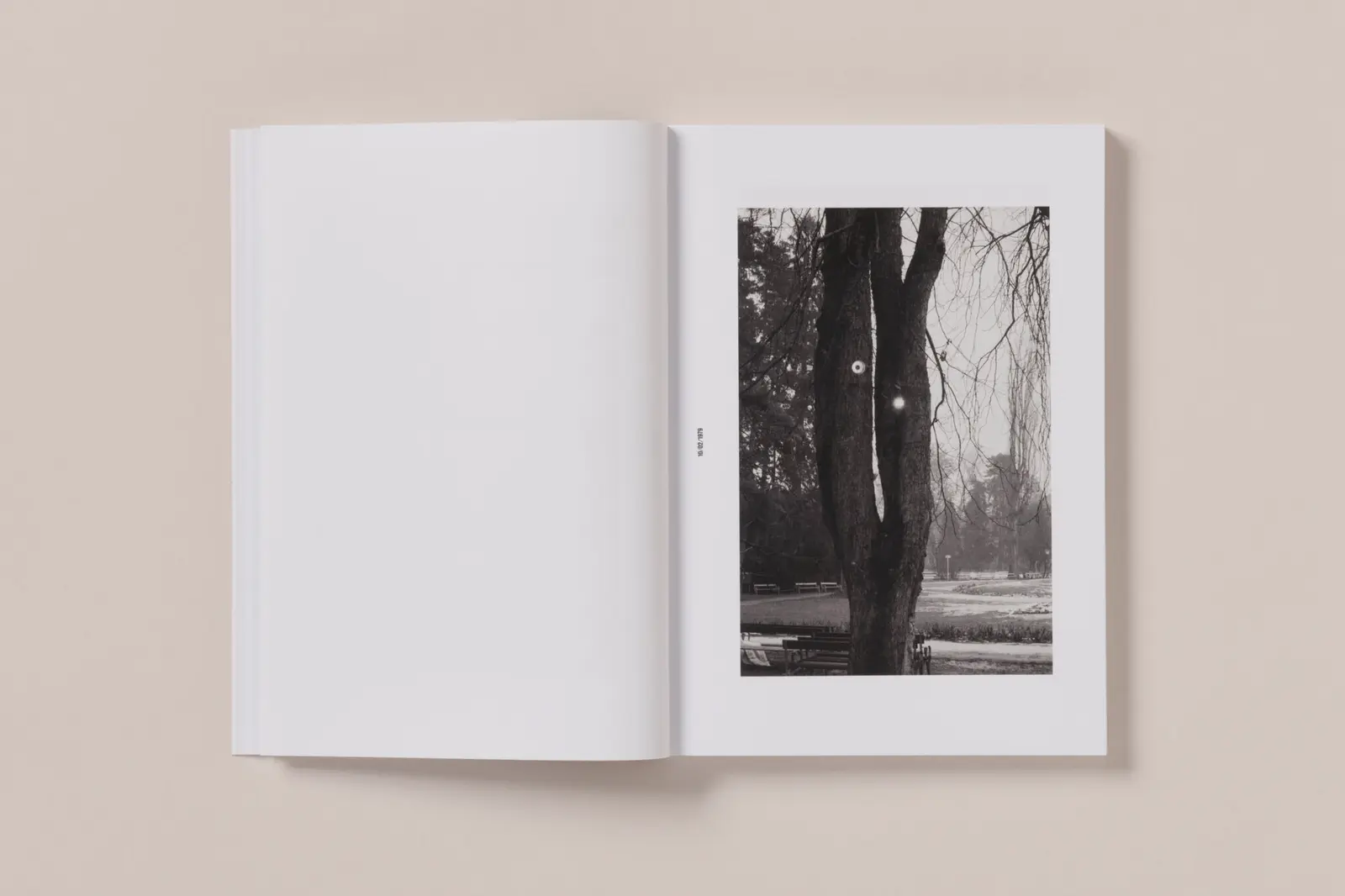 Photographs (1978-1985) image 2