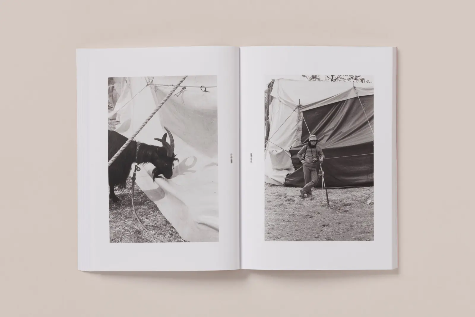 Photographs (1978-1985) image 9