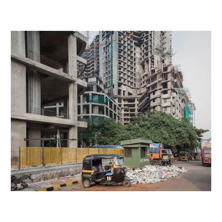 No Buddha in Suburbia image 6