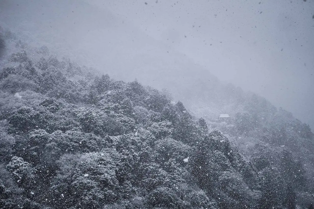 Lost in Kyoto image 3