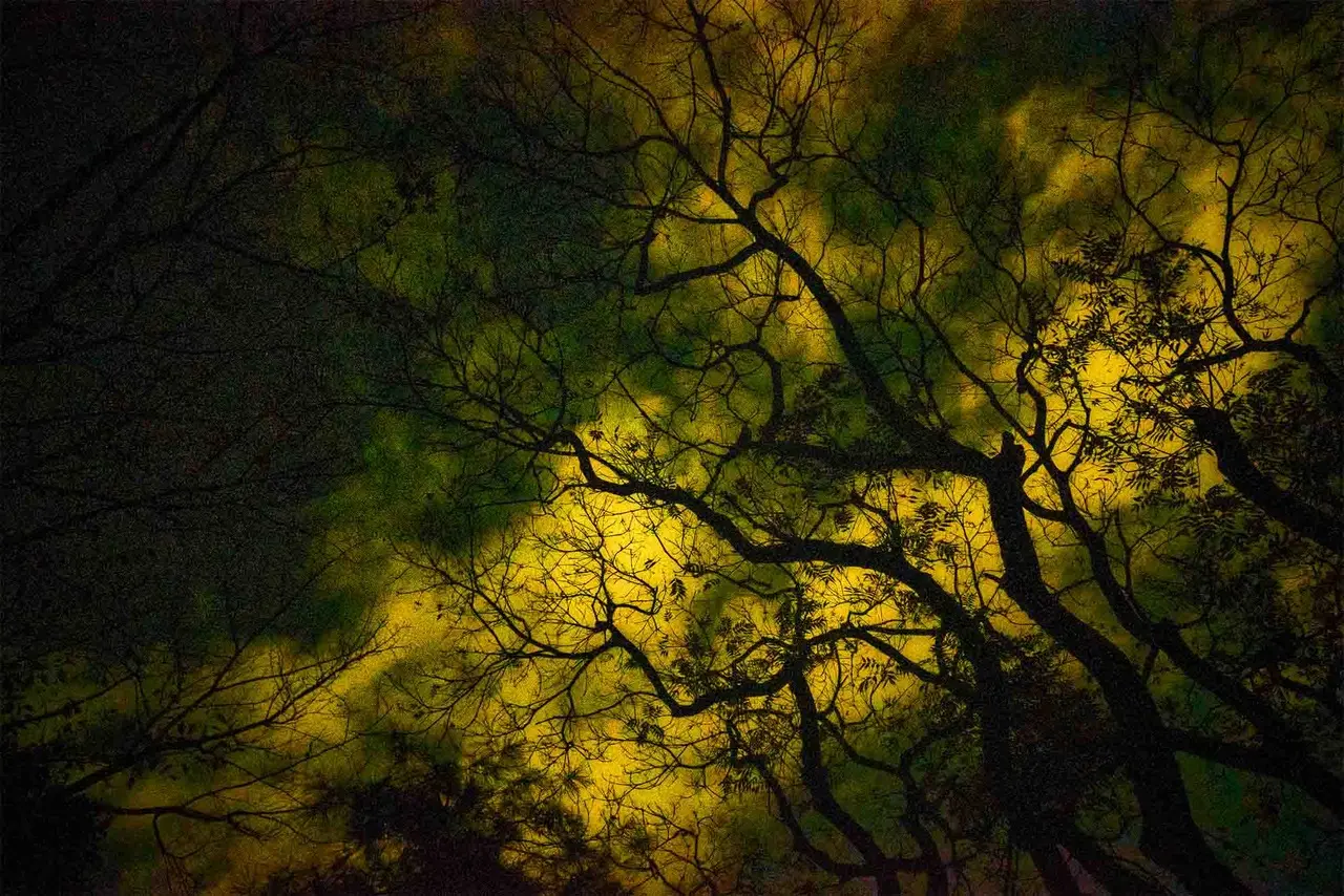 Lost in Kyoto image 5