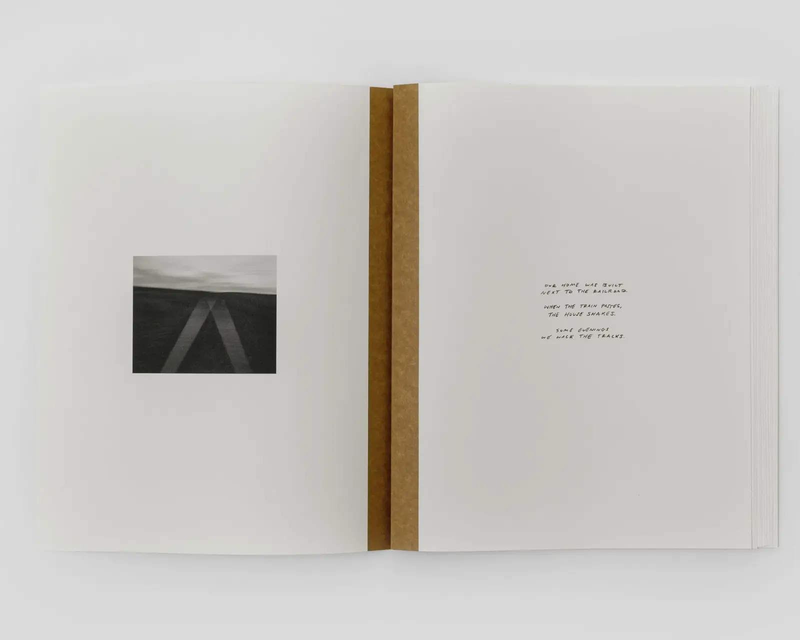 Mother of Dogs image 2