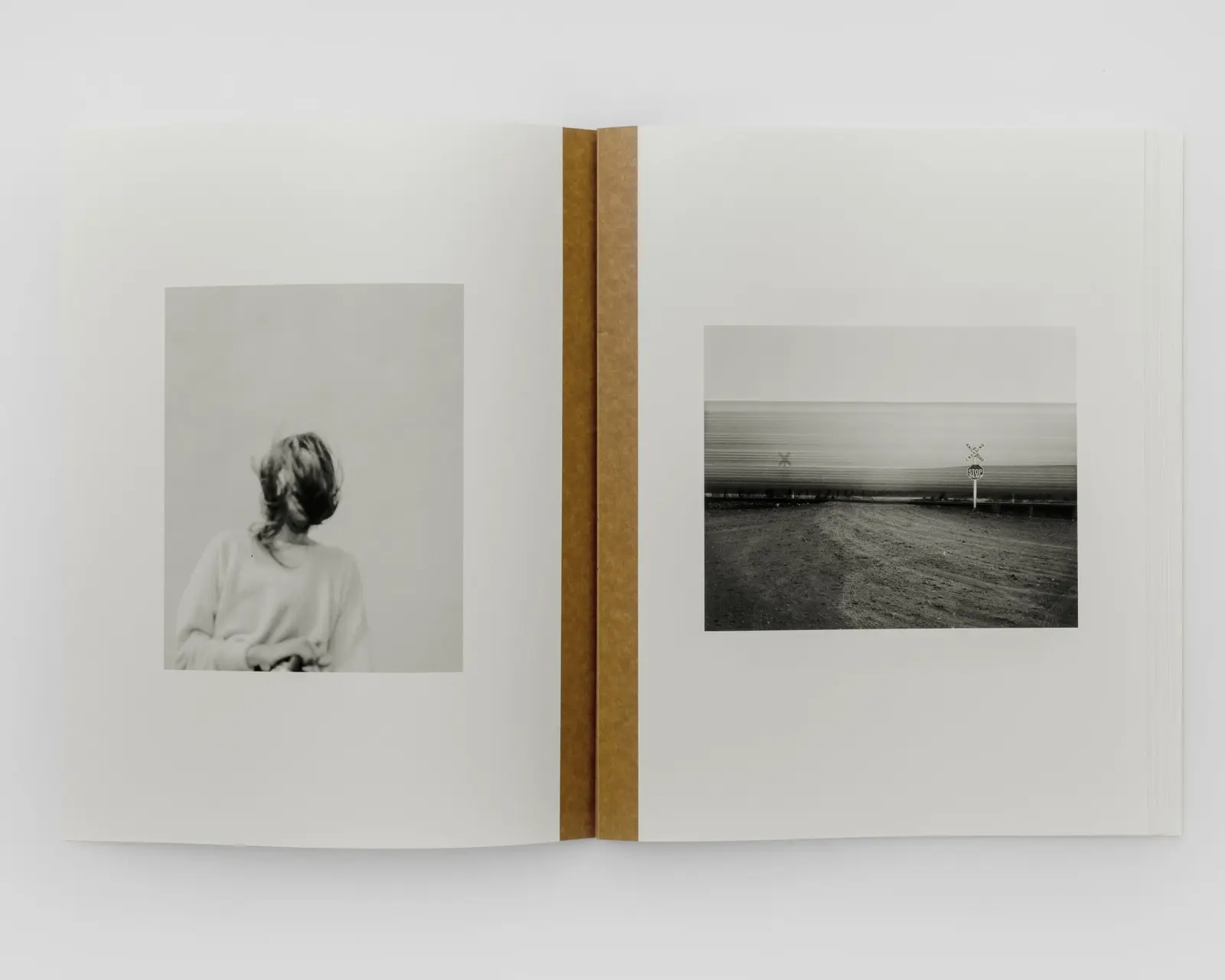 Mother of Dogs image 4