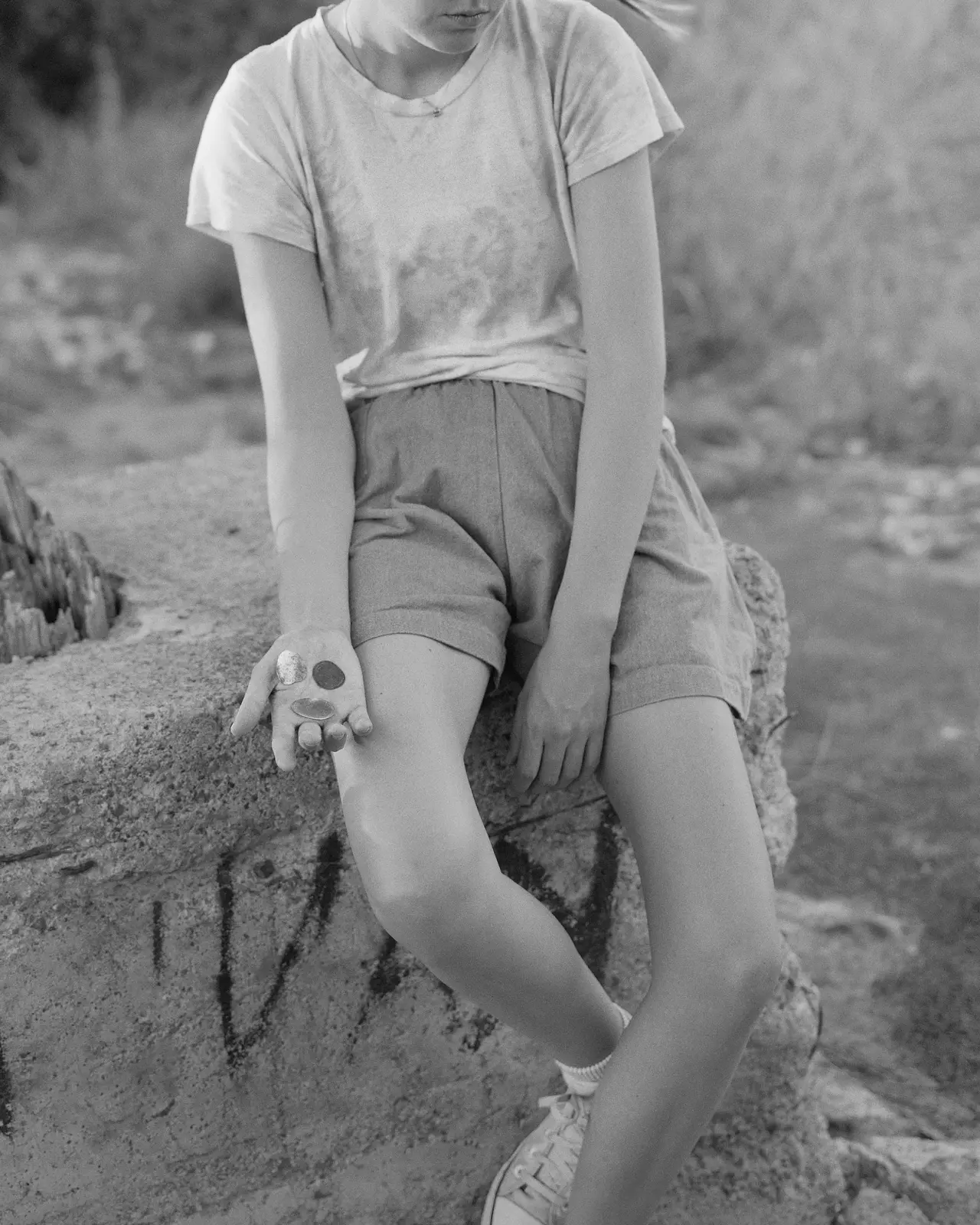 Mother of Dogs image 5