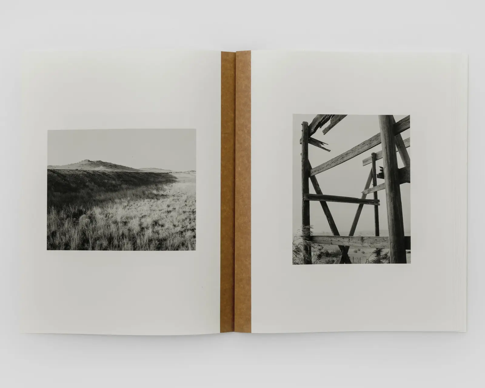 Mother of Dogs image 6