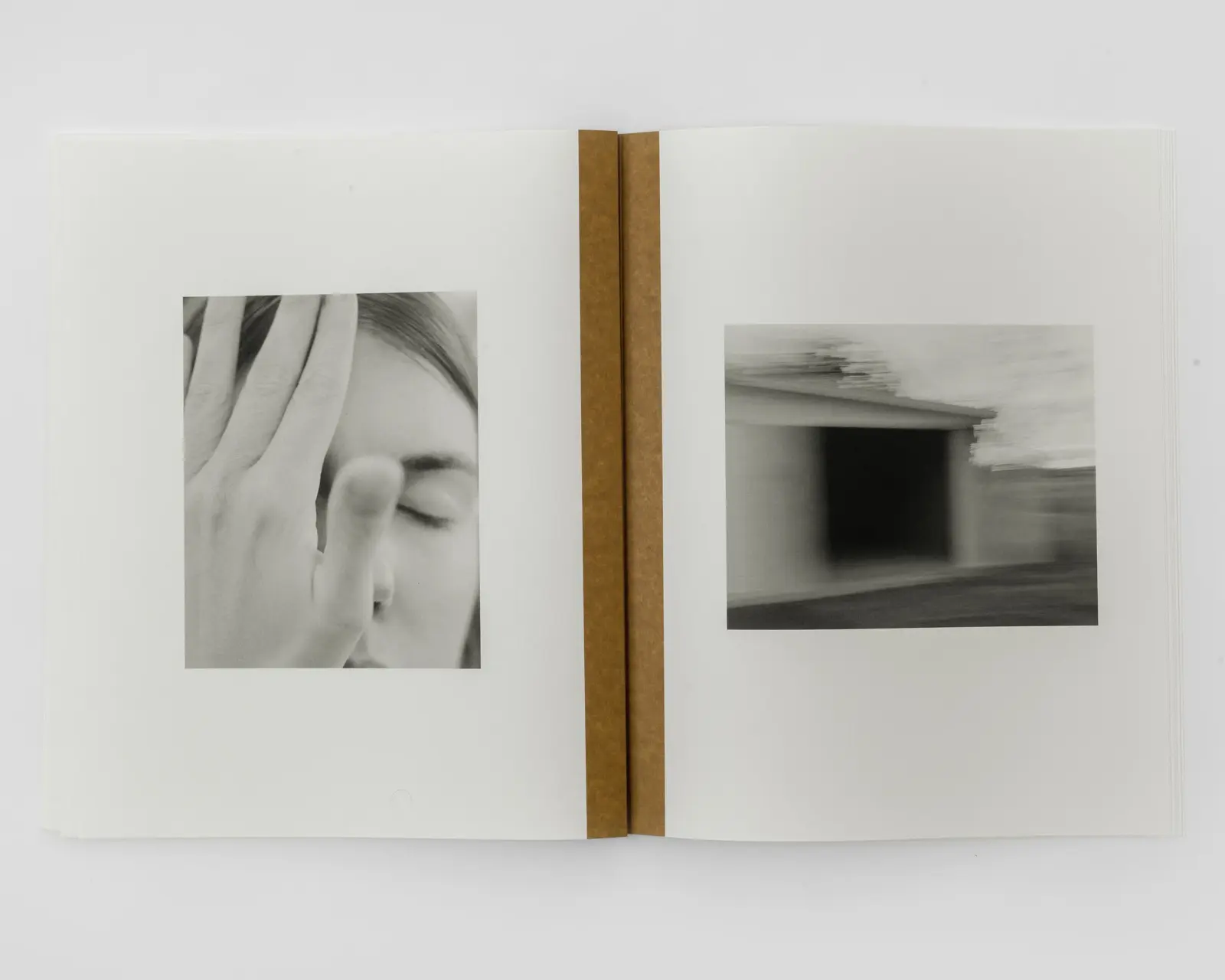 Mother of Dogs image 7