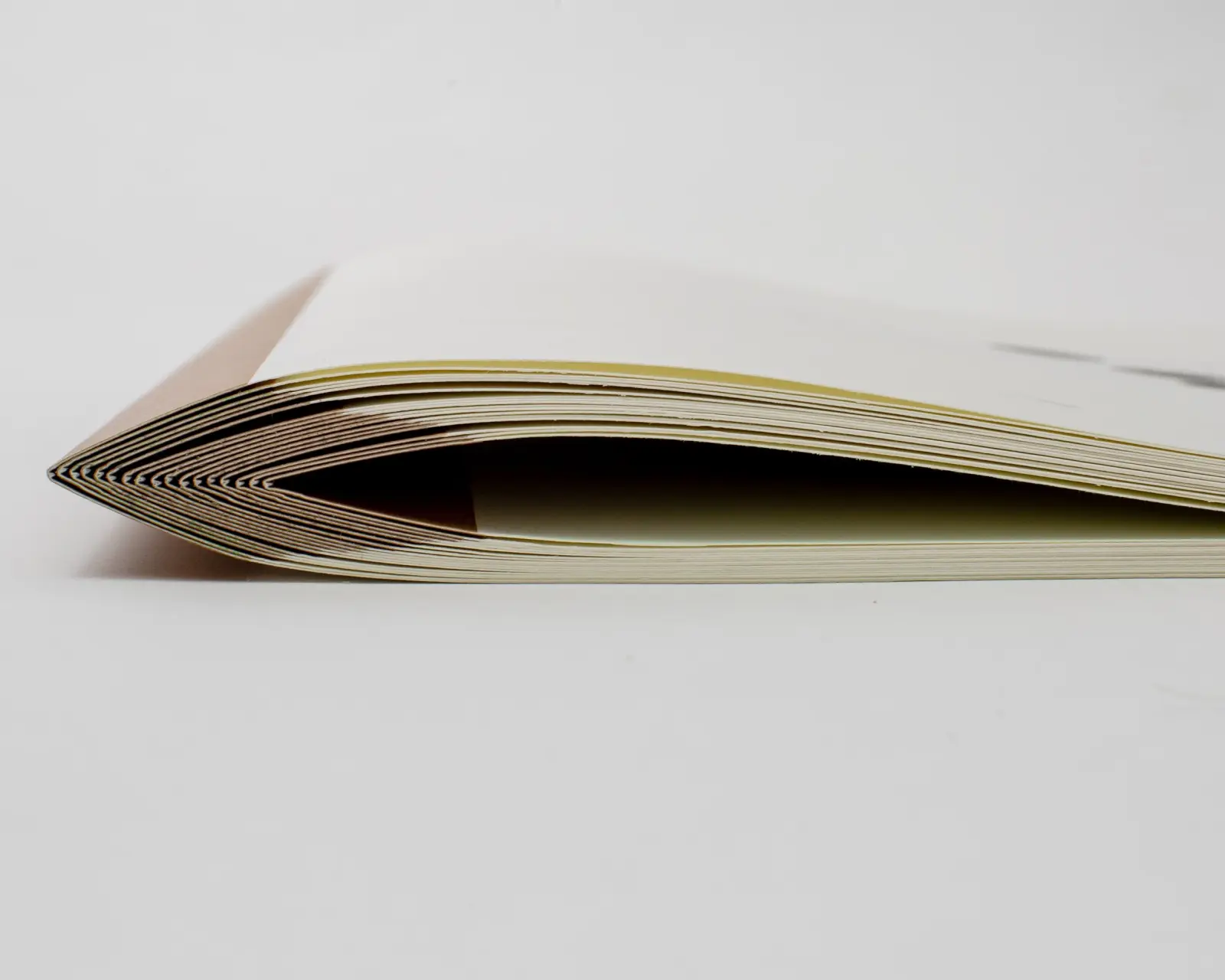 Mother of Dogs image 10