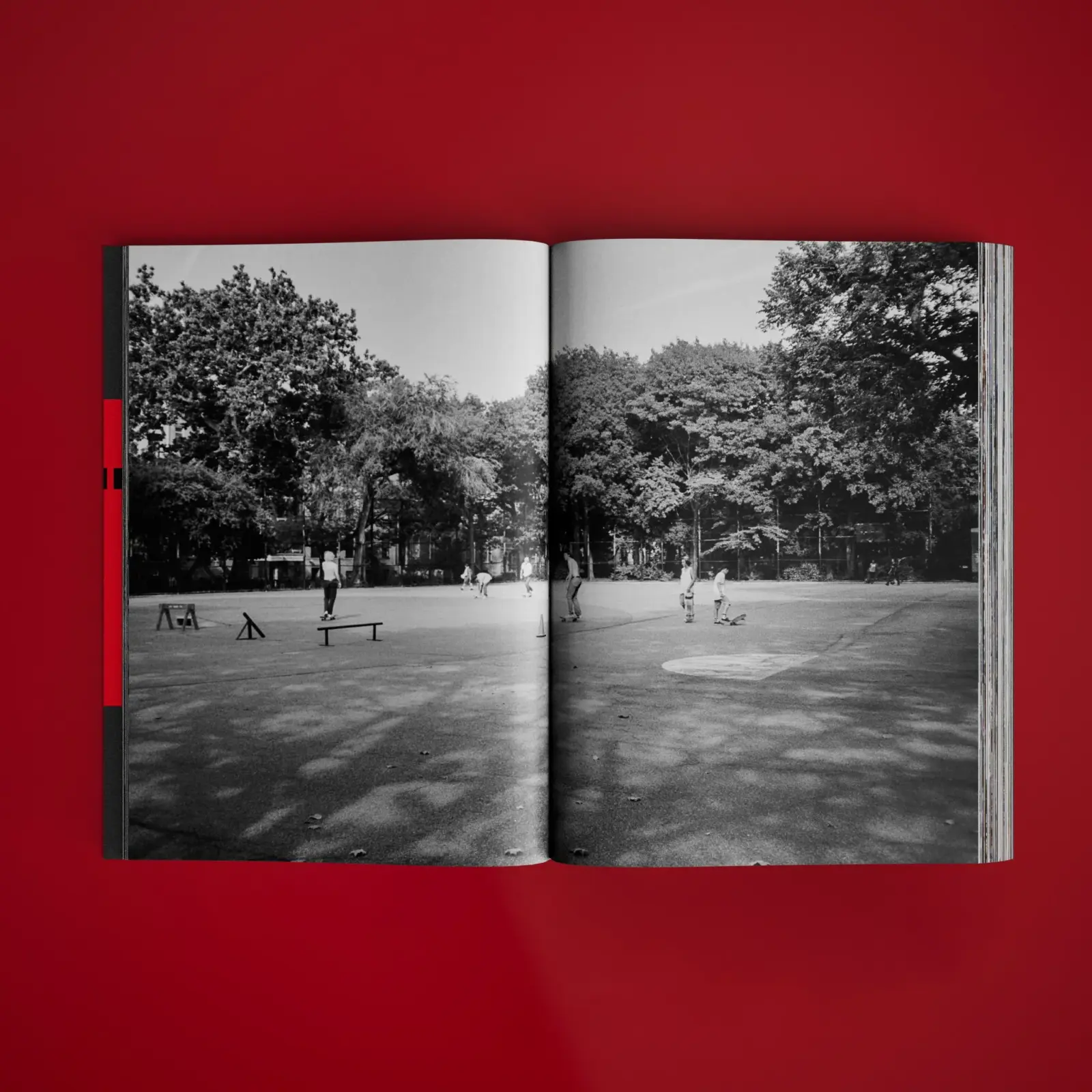 Not Far From Here image 6