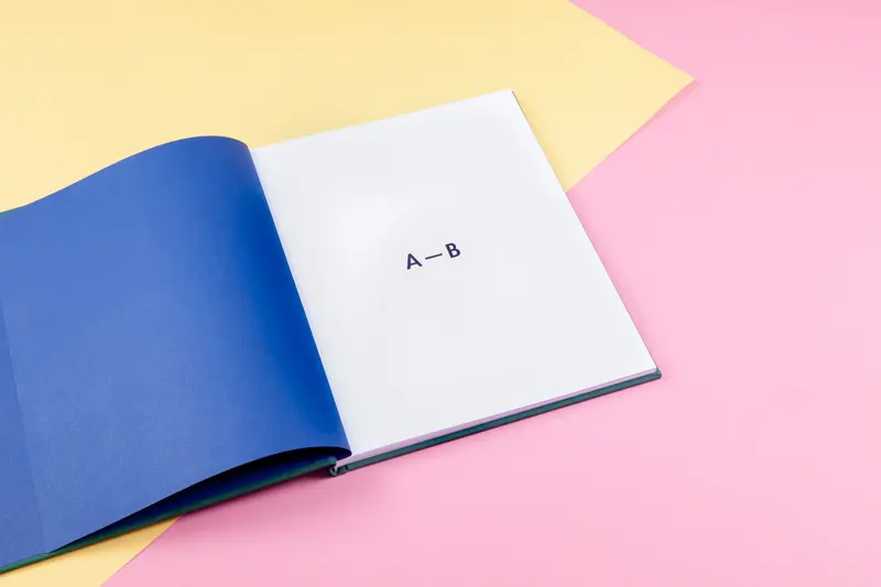 Everything Is Regional image 2