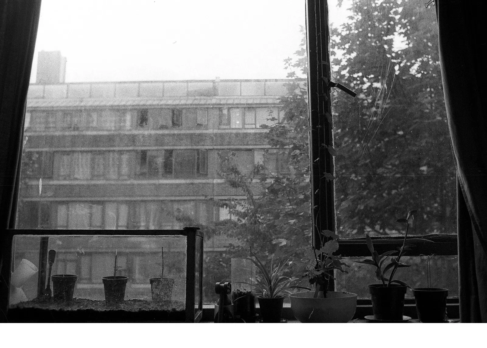 Peckham 1970s–80s image 9