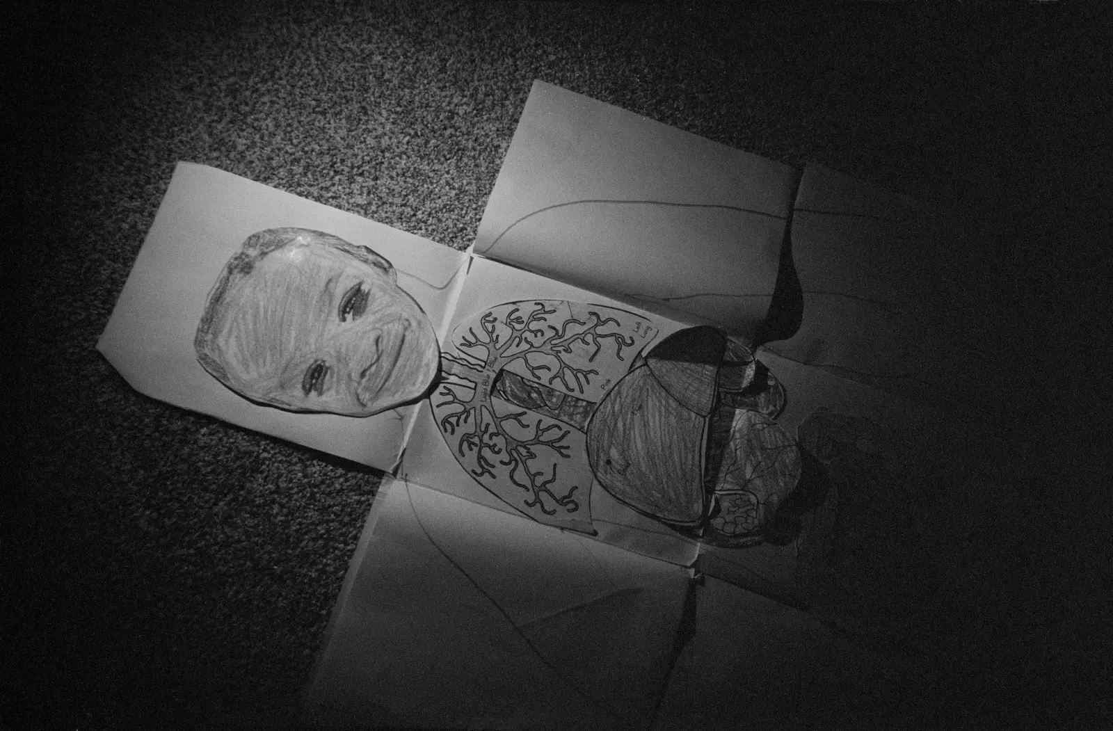 The Seraphim image 2