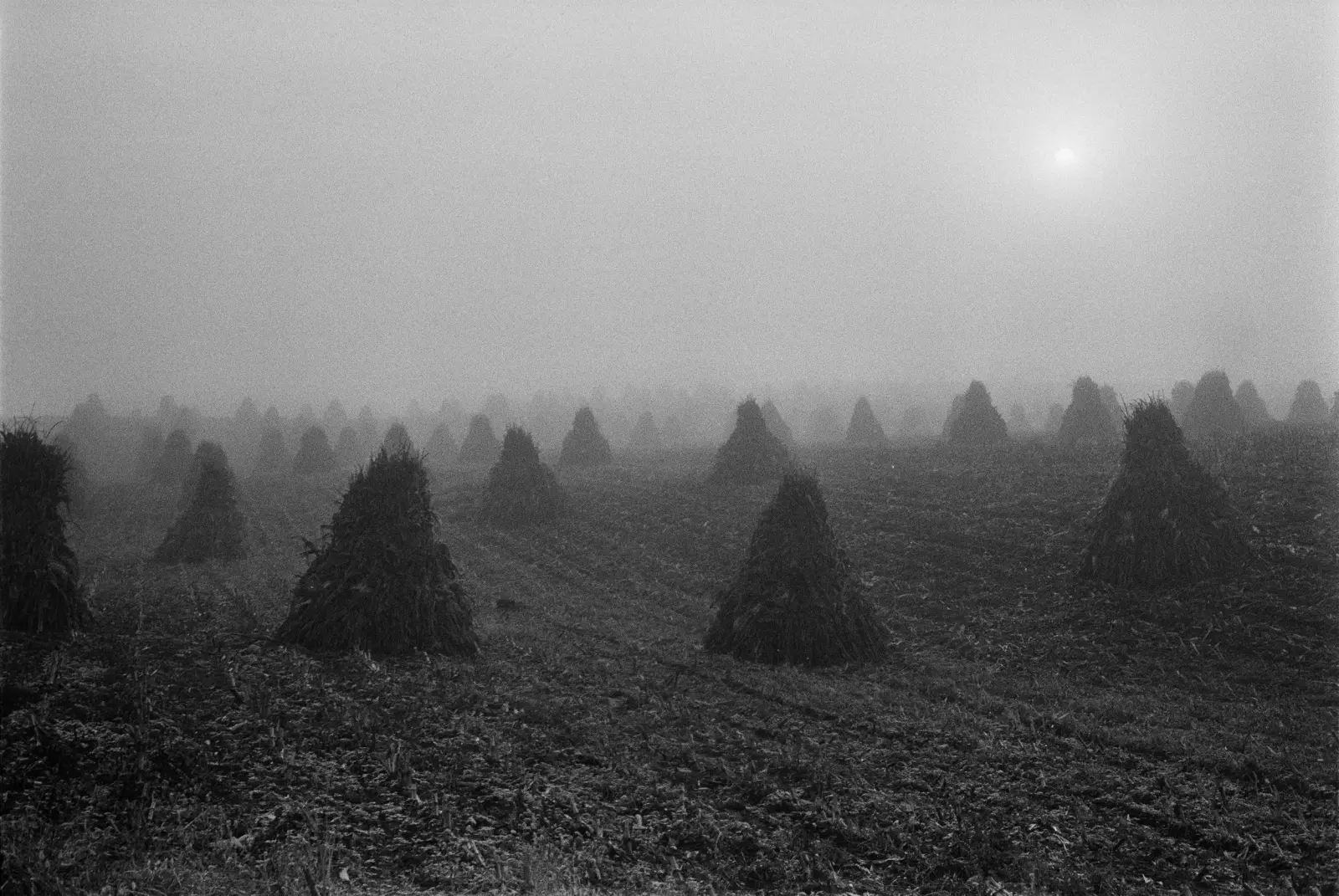 The Seraphim image 3