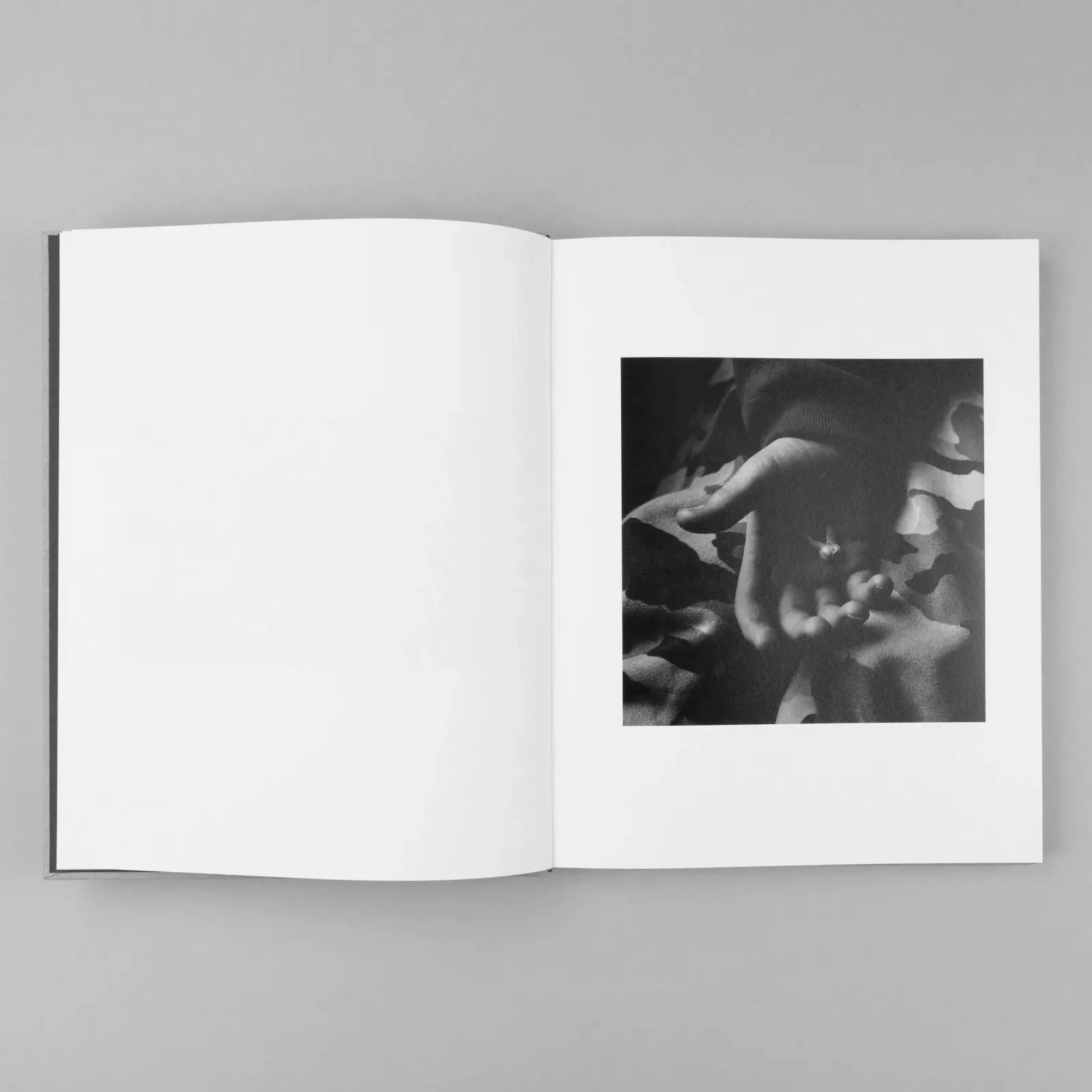 The Seraphim image 4