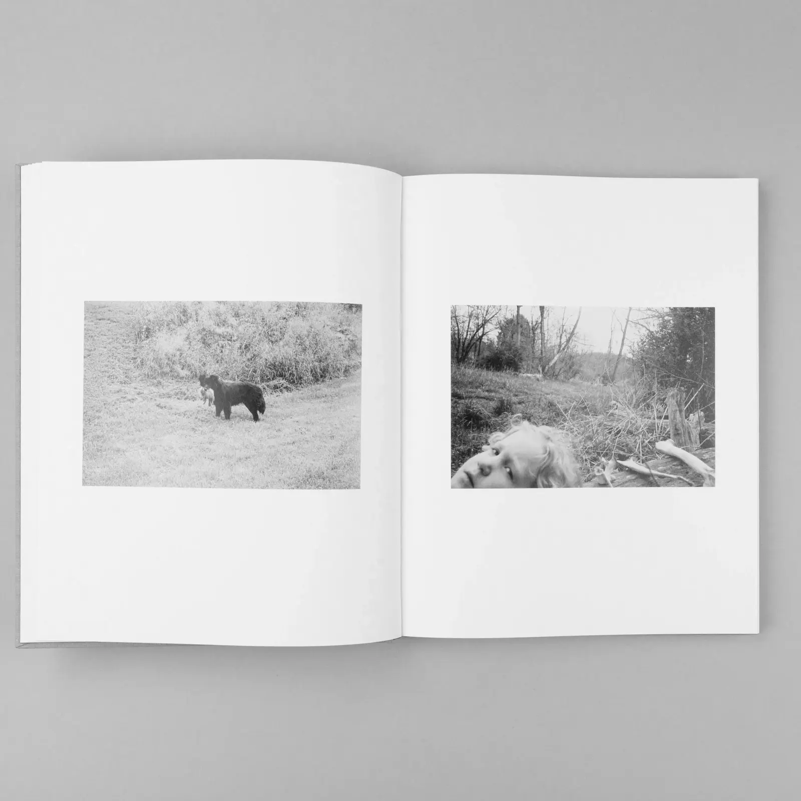 The Seraphim image 7