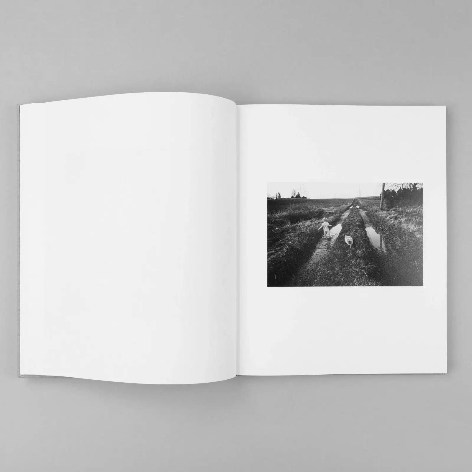 The Seraphim image 10