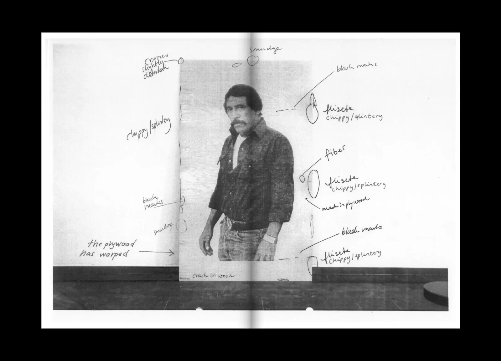 Conservator's Notes image 4