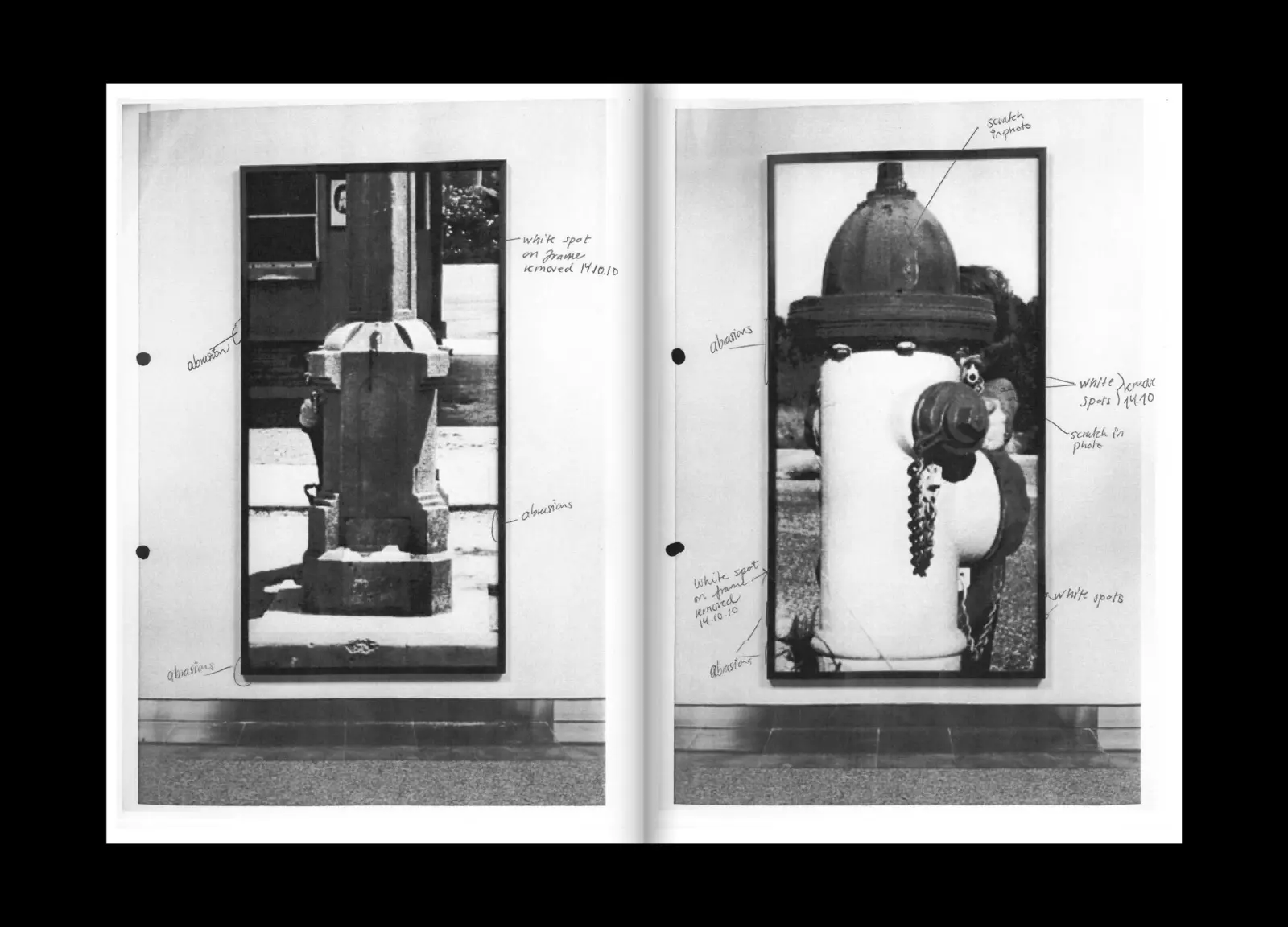 Conservator's Notes image 9