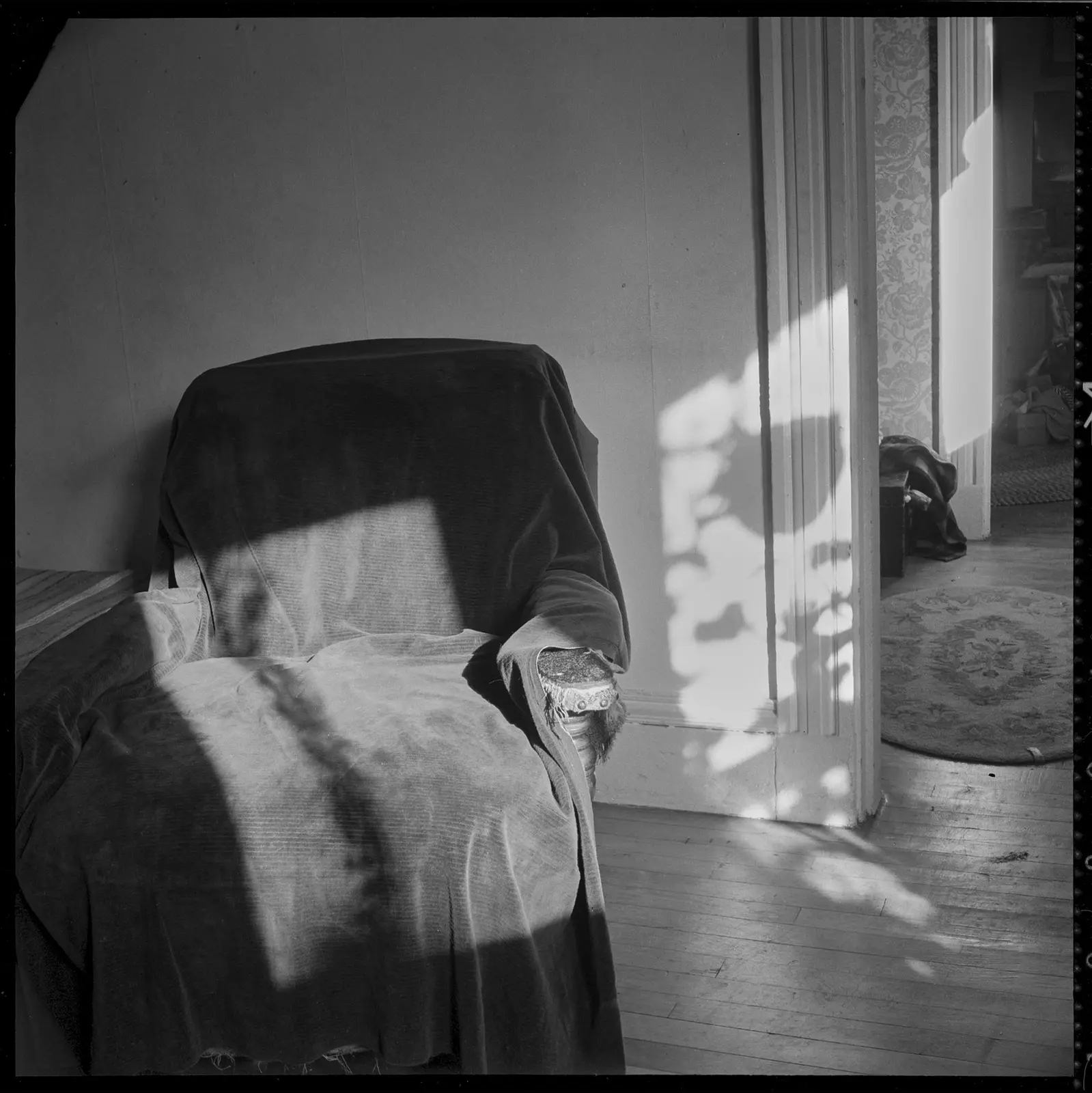 Where the Light Came in image 2