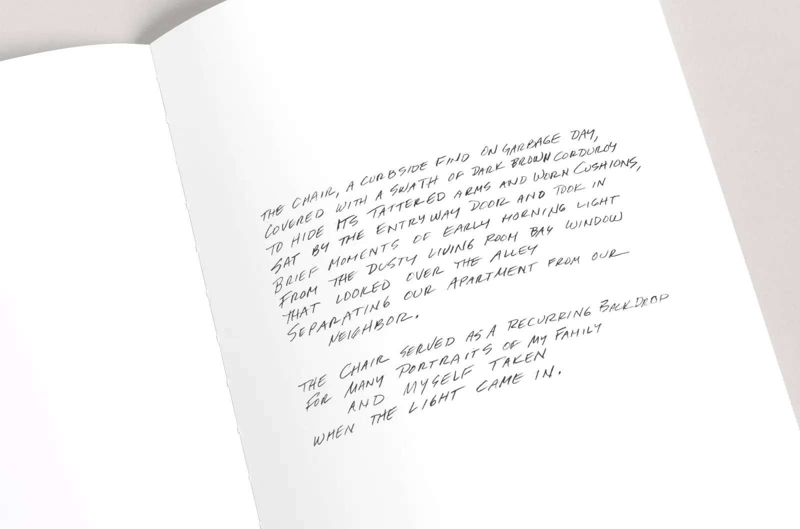 Where the Light Came in image 11